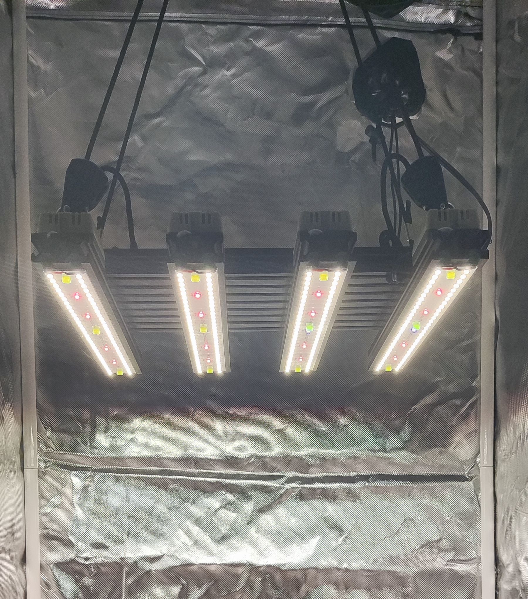 Quantum Board Quattro EVO - A loja do Grower