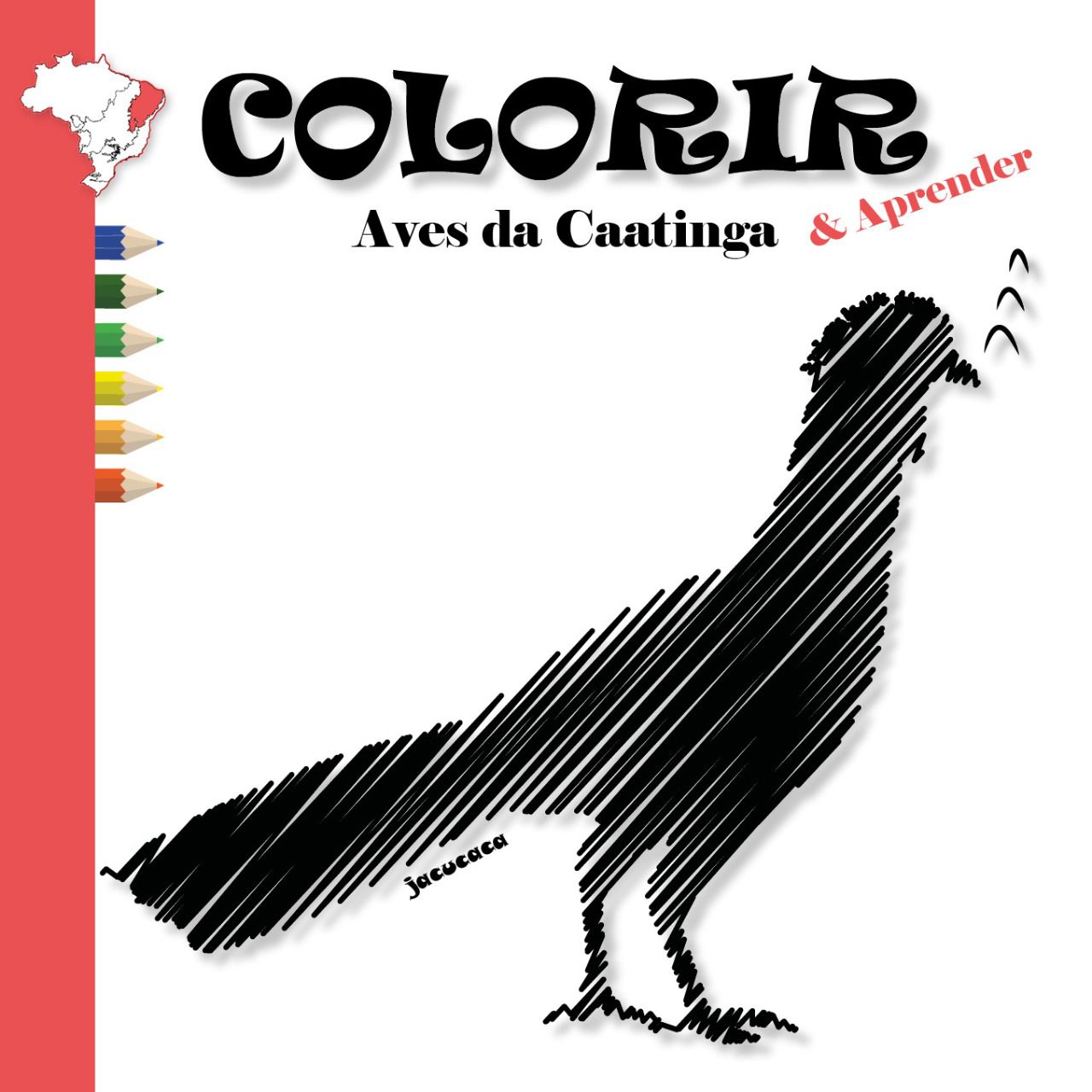 Coleção Colorir e Aprender Animais Promoção Oferta
