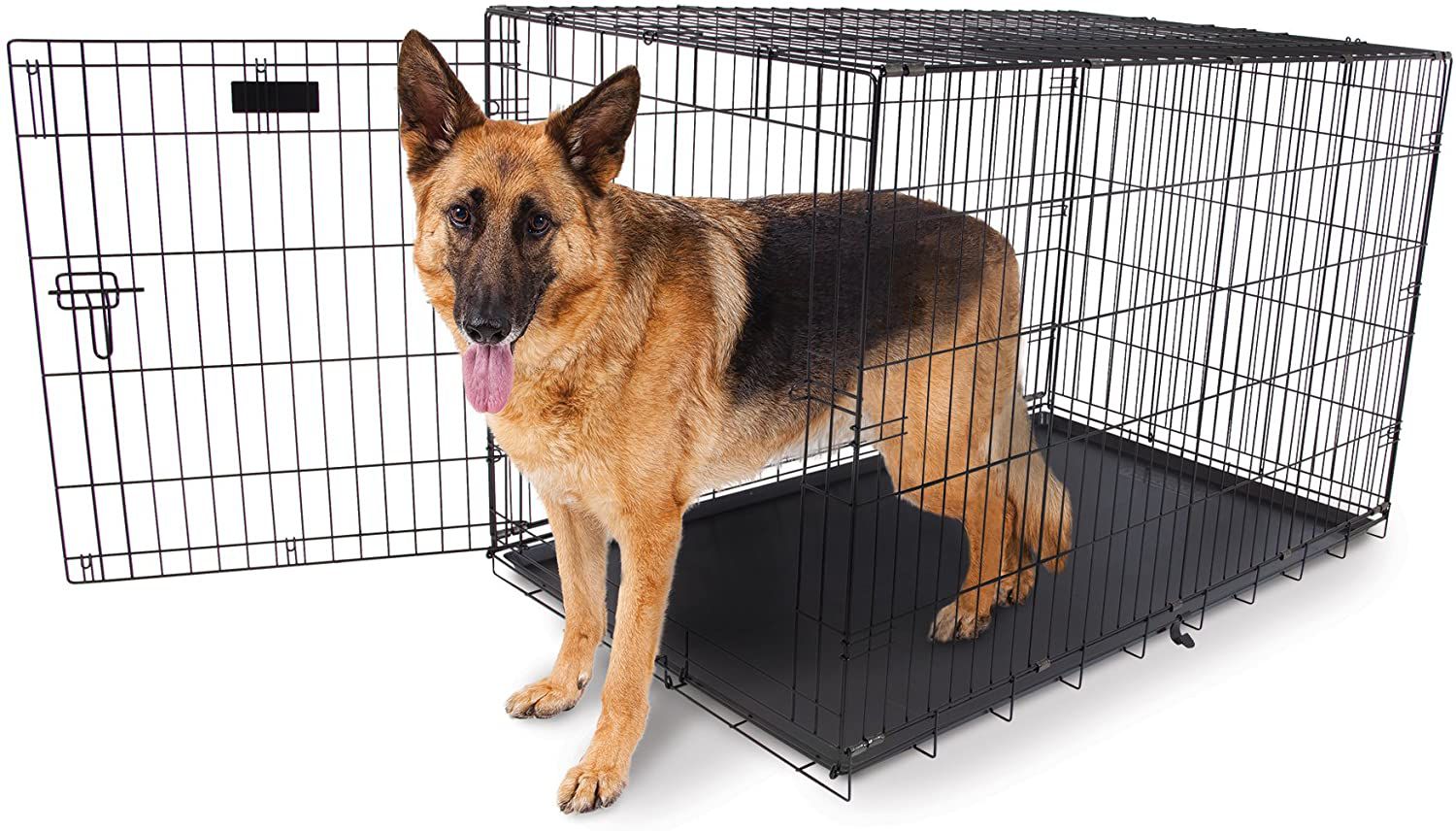 AspenPro Valu Crates Caixas de treinamento Time Pet