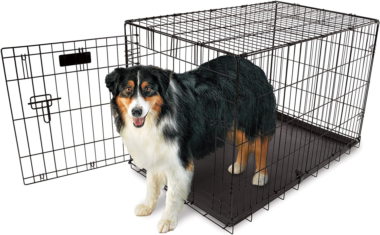 AspenPro Valu Crates Caixas de treinamento Time Pet