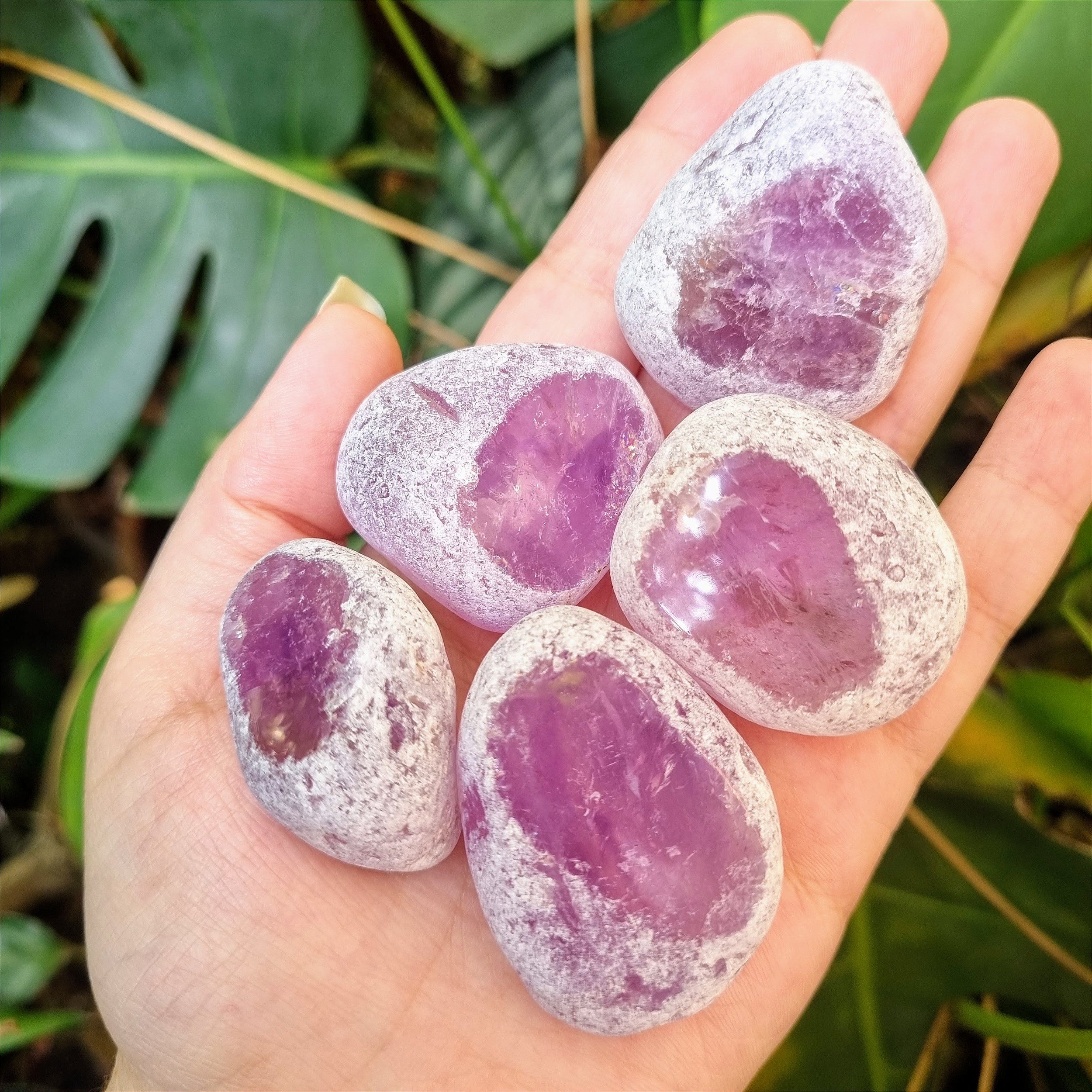 Ovos Emma Emma Eggs Vitti Pedras Naturais