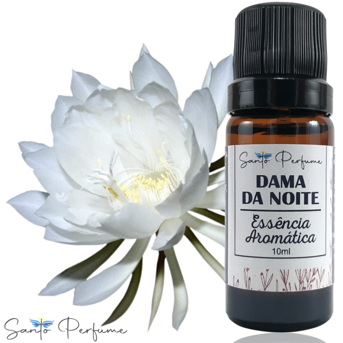 Essência Aromática de Dama da Noite 10ml da Santo Perfume - Santo