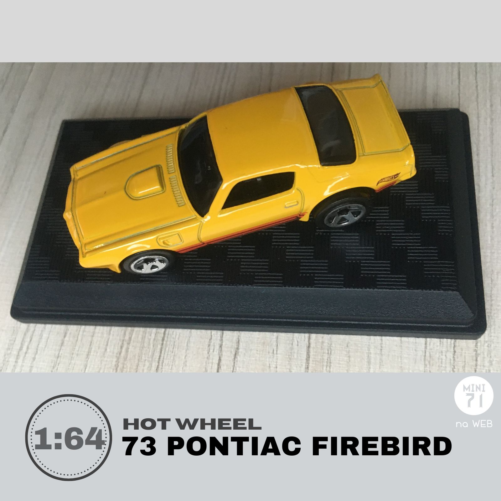 HOT WHEELS Muscle Mania – Schwarz '69 Pontiac Firebird T/A 10/10, Maßstab 1:64