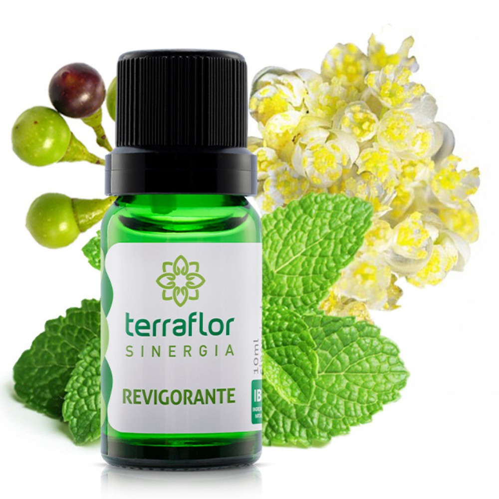 Kit Sinergia Revigorante + Colar Difusor Poliedro - Inspirações da ...