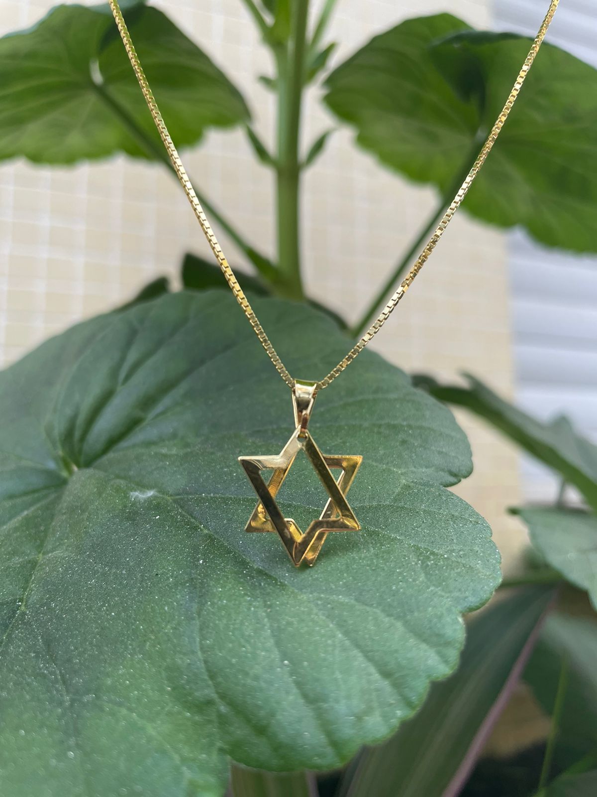 Colar Estrela de Davi - Banhado a Ouro 18K - Davar - Artigos judaicos