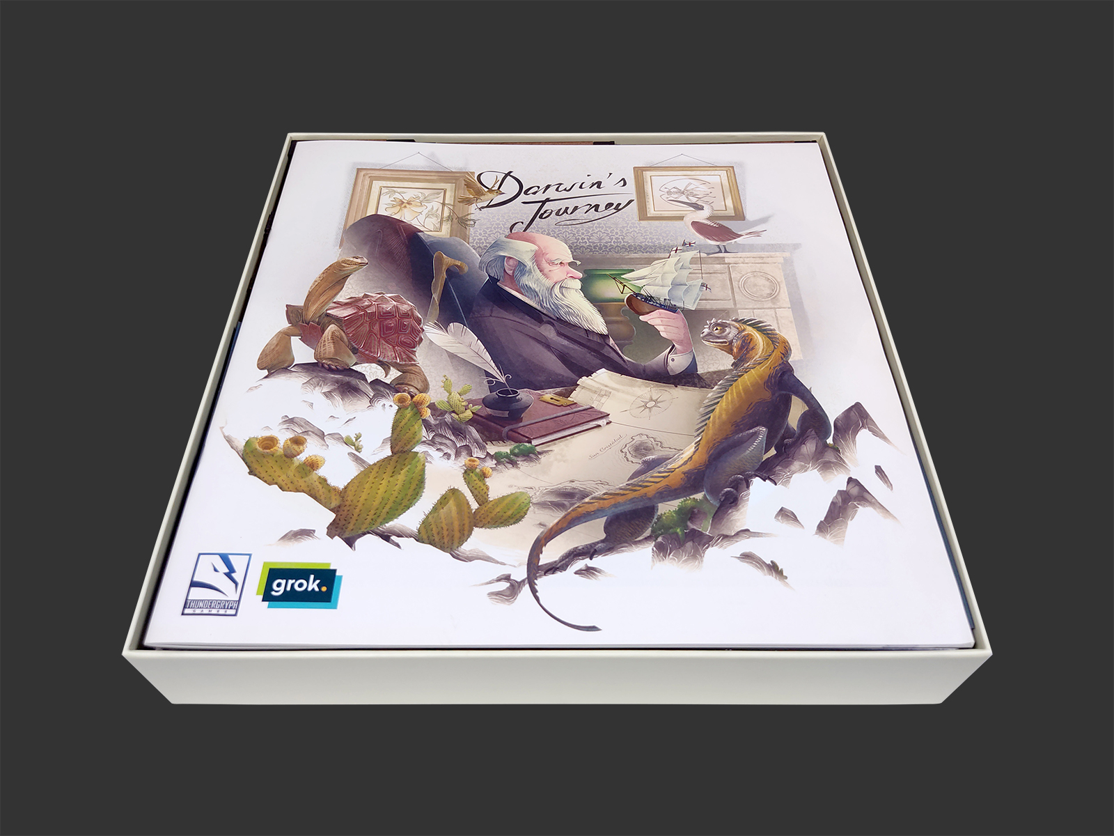 Organizador (INSERT MDF) para Darwin's Journey - Bucaneiros Jogos