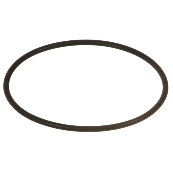Laguna Lid O-Ring for Pressure-Flo 2100, 3200, 3000 and