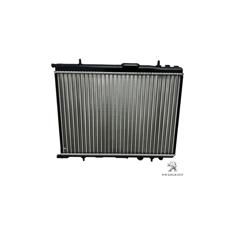 Radiador De Água Peugeot 207 1.4 1.6 08 2009 2010 2011 2012 - DVR ...