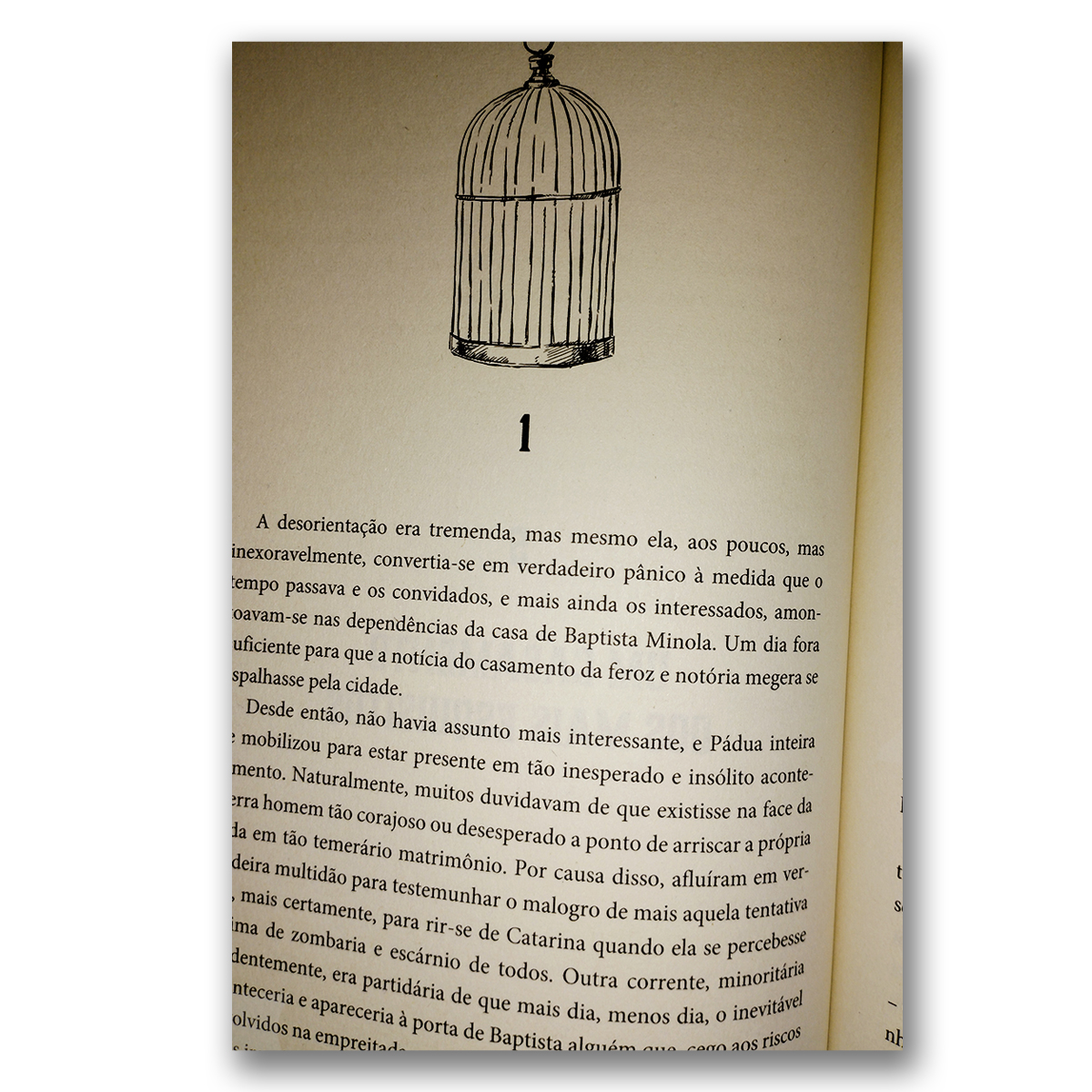 A MEGERA DOMADA - Adaptação de Júlio Emílio Braz - Editora Sobre Tudo