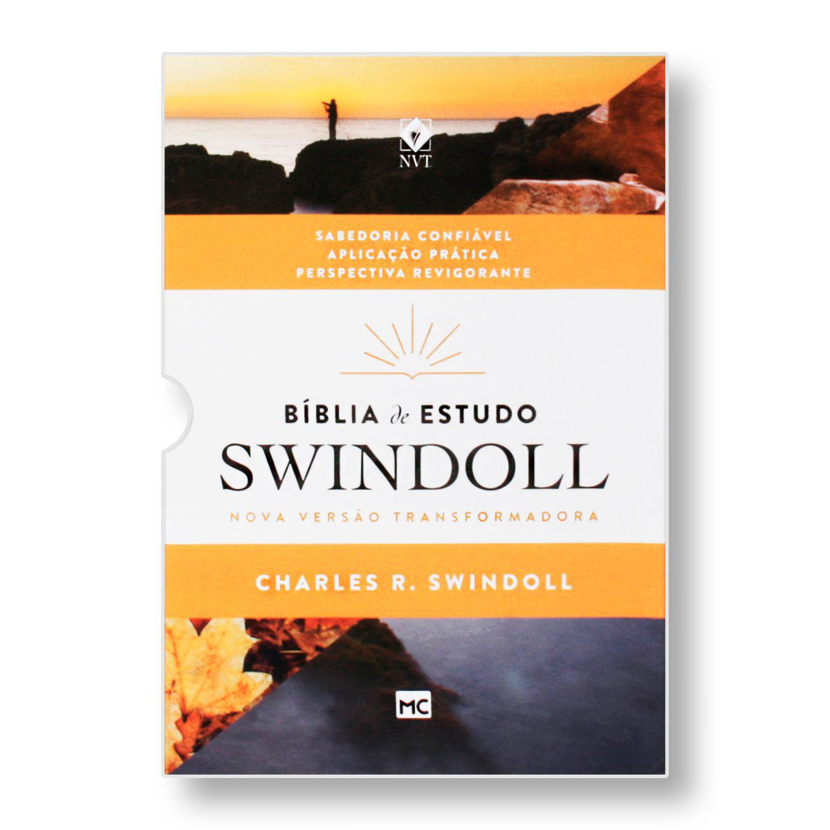 BÍBLIA DE ESTUDO SWINDOLL PETRA CAPA CINZA - Charles R. Swindoll ...