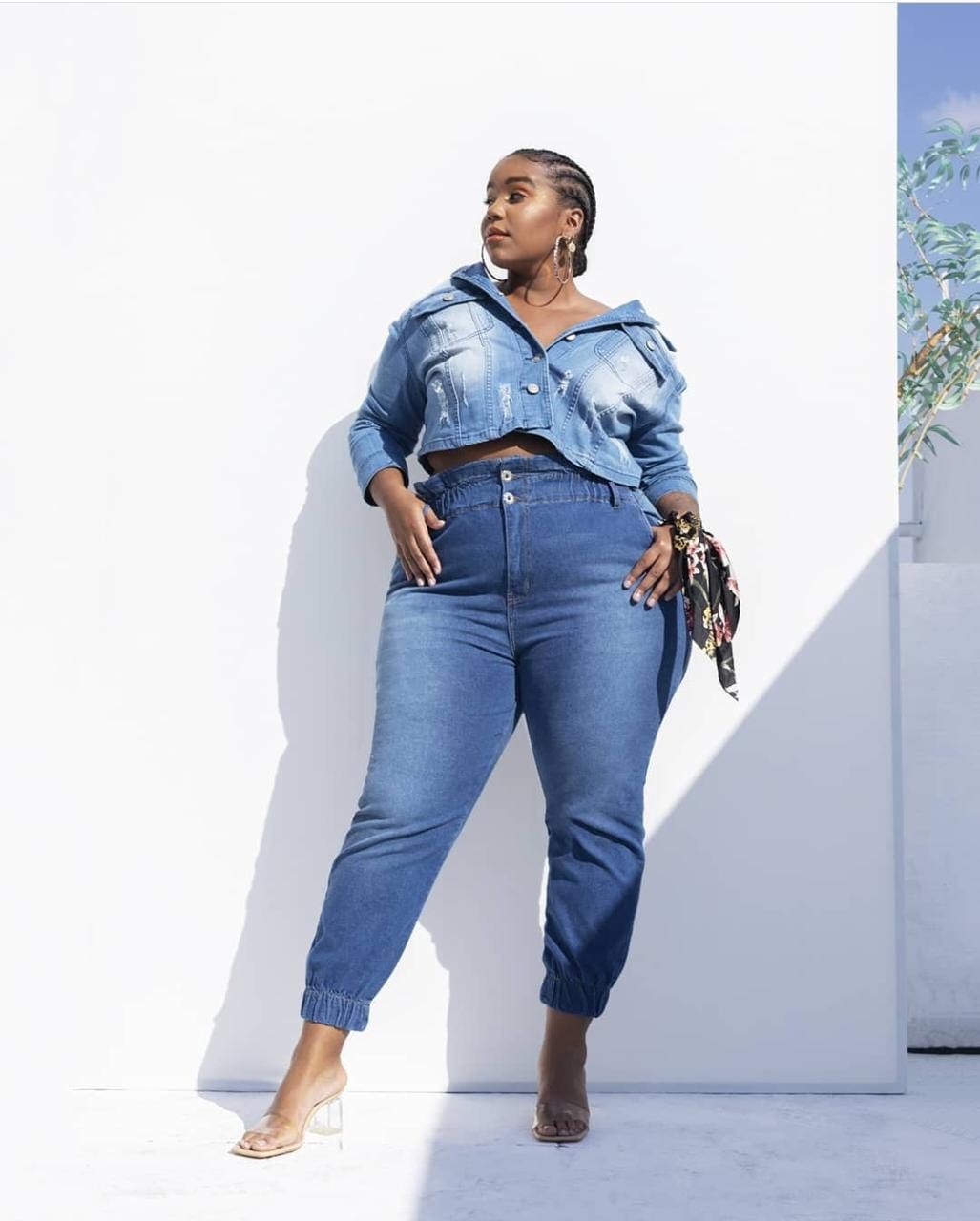 AL A JEANS CLOCHARD Petrika Moda Plus Size