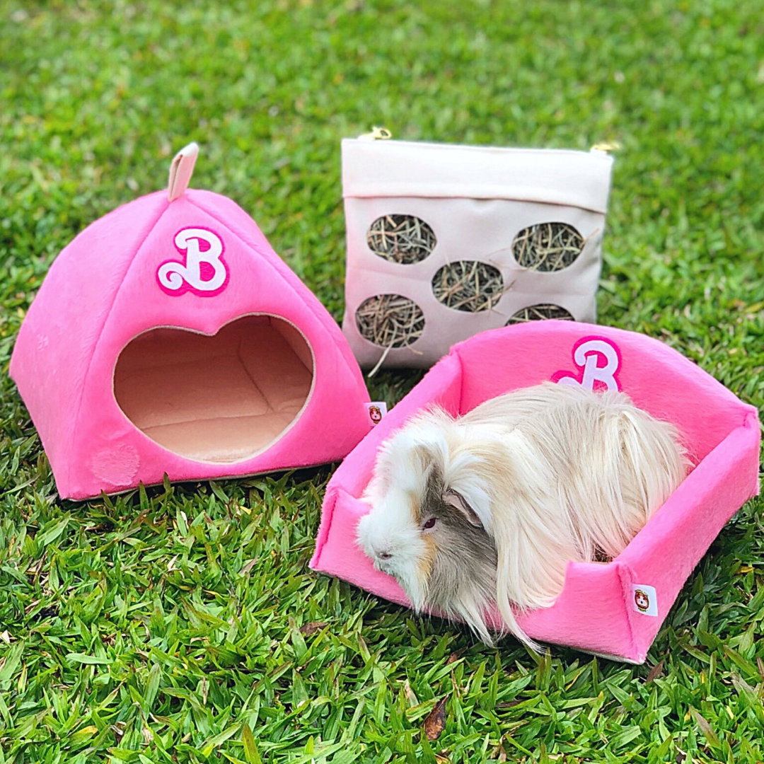 Caminha • Barbie - Guinea Pig Props