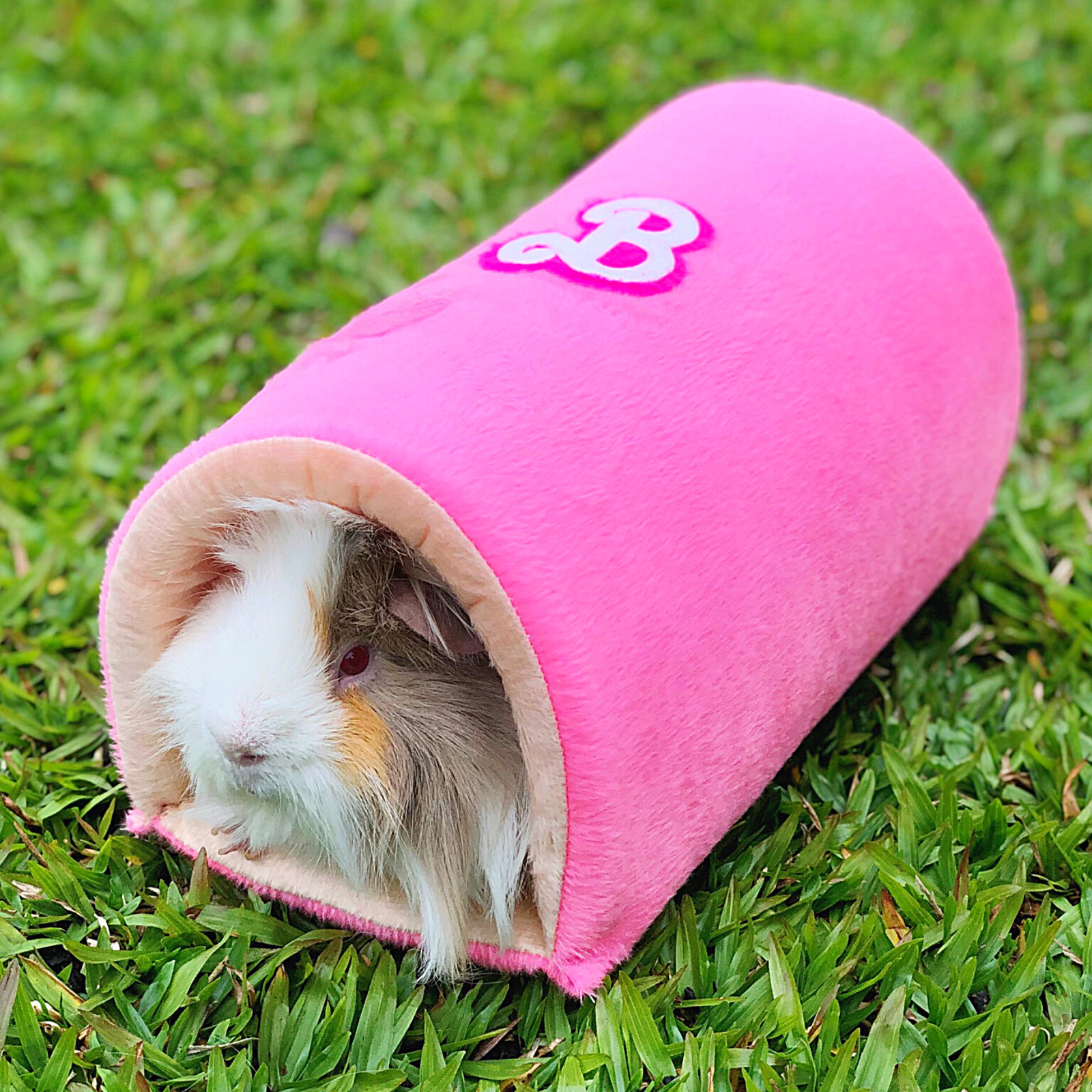 T nel de Barbie Guinea Pig Props
