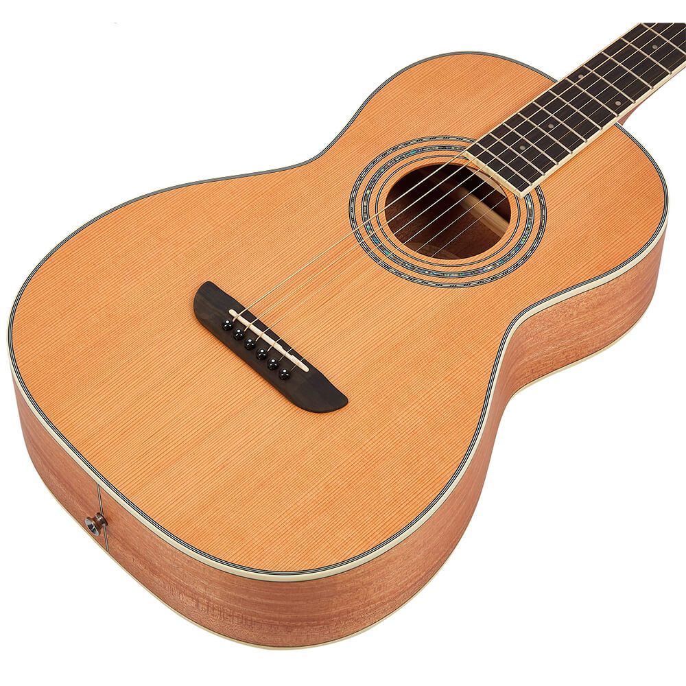 Washburn wp11sns parlor deals