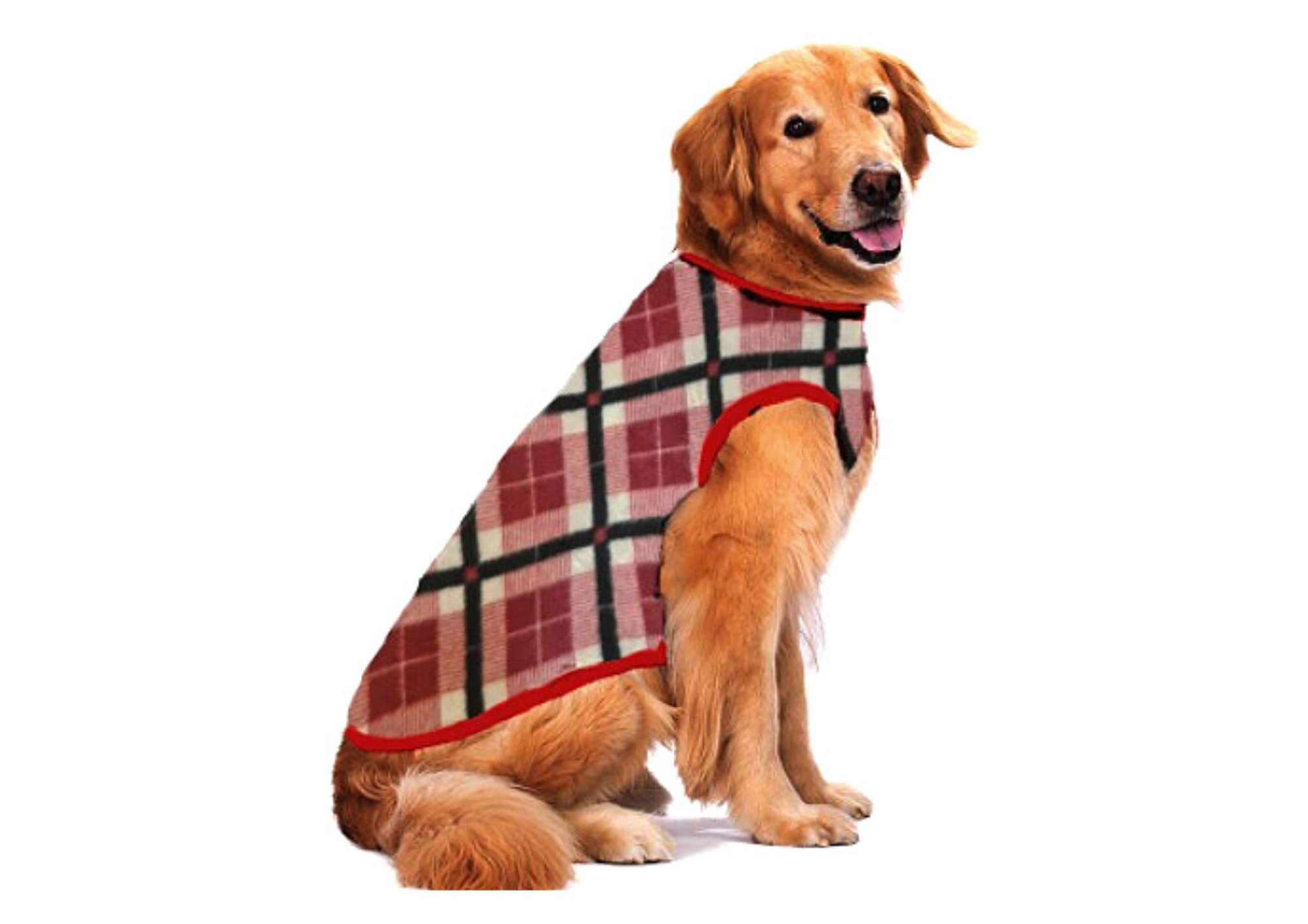Roupa para Cachorro Cães Inverno Soft Xadrez Vermelha Tamanho Especial -  Gaby Moda Pet