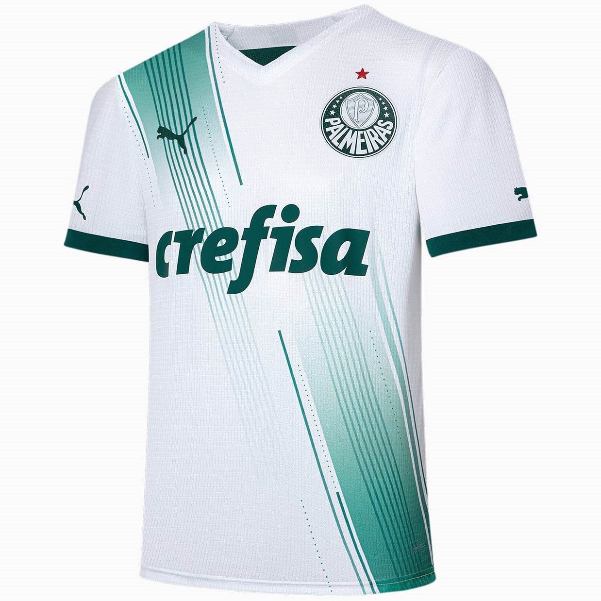 Nova Regata Palmeiras 1 Torcedor Masculina 2023 / 2024 - 021 Sport, Maior  Variedade de Camisas de Futebol