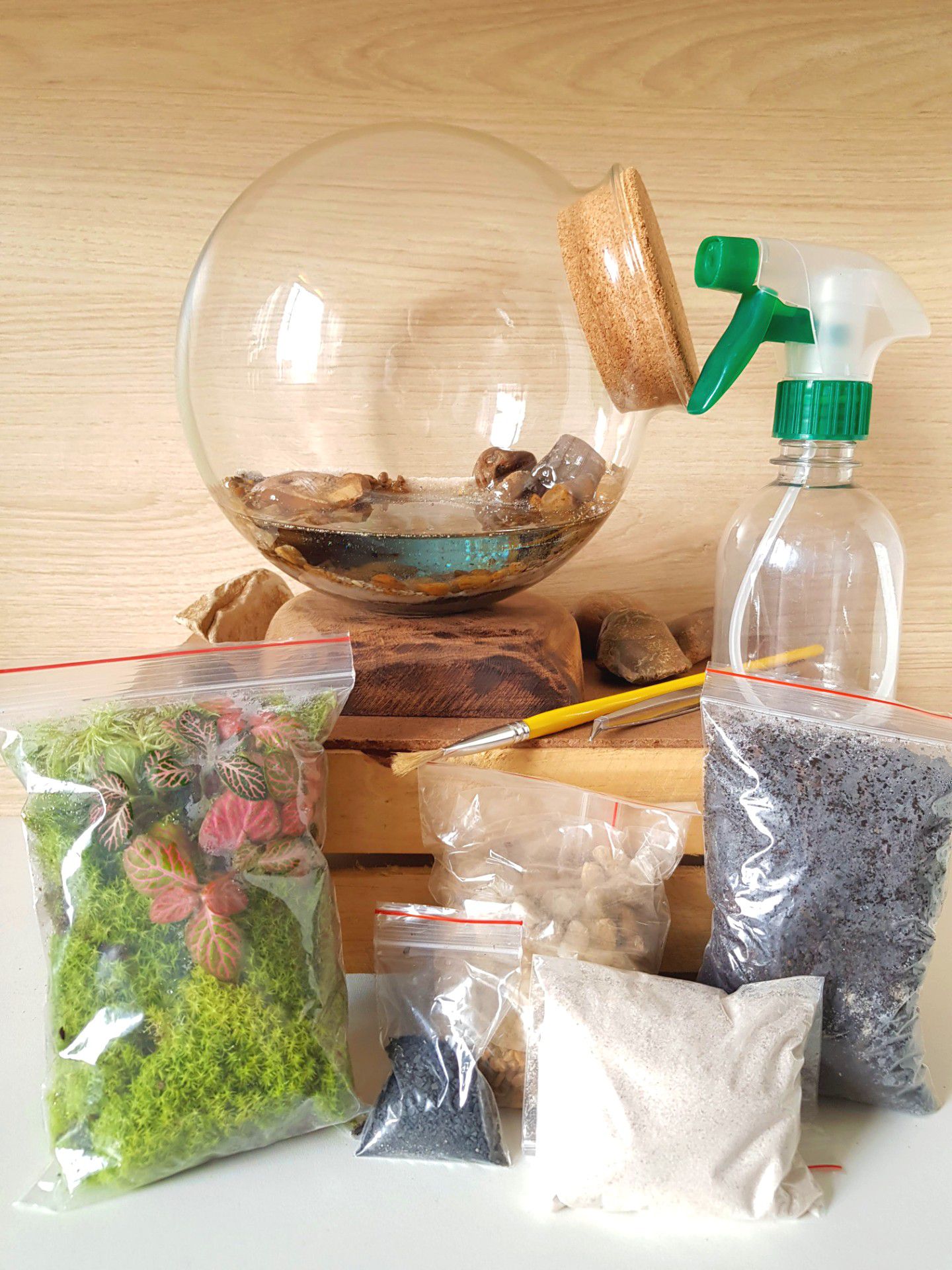 Kit Terrarium DIY - CORTICA