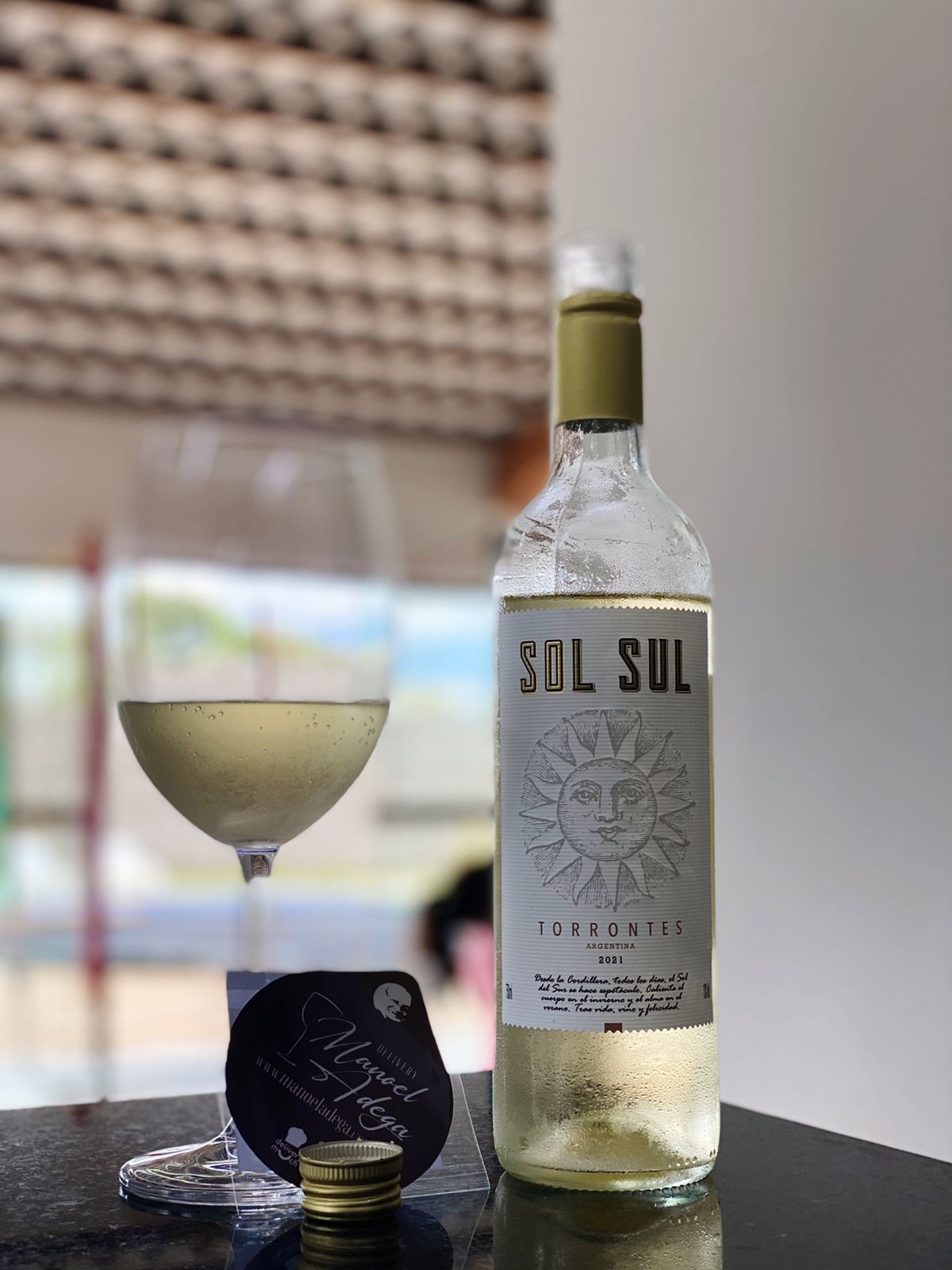 Vinho Branco Argentino Sol Sul Torrontés - Manoel Adega - Delivery de Vinho  em Patrocínio e Região - Tradição e Facilidade em uma ótima bebida!