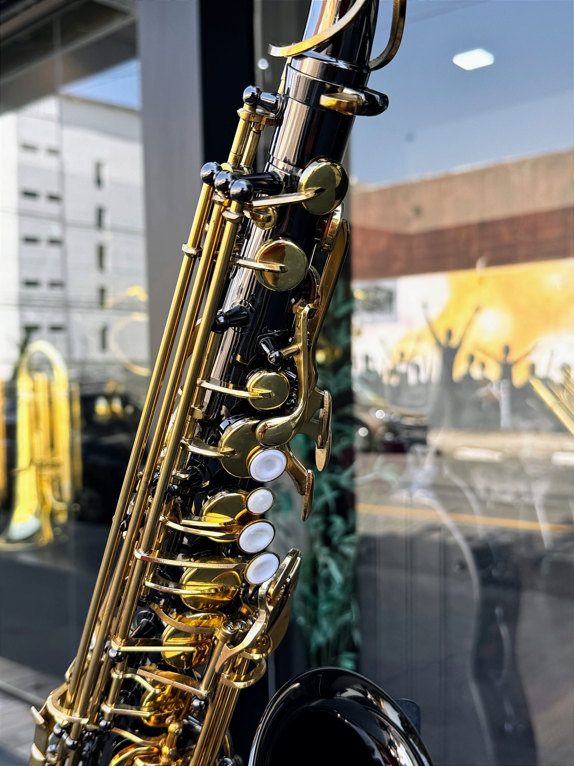 SAX ALTO PROWINDS EM BLACK ONIX COM LAQUEADO (VITRINE) PARCELAMOS