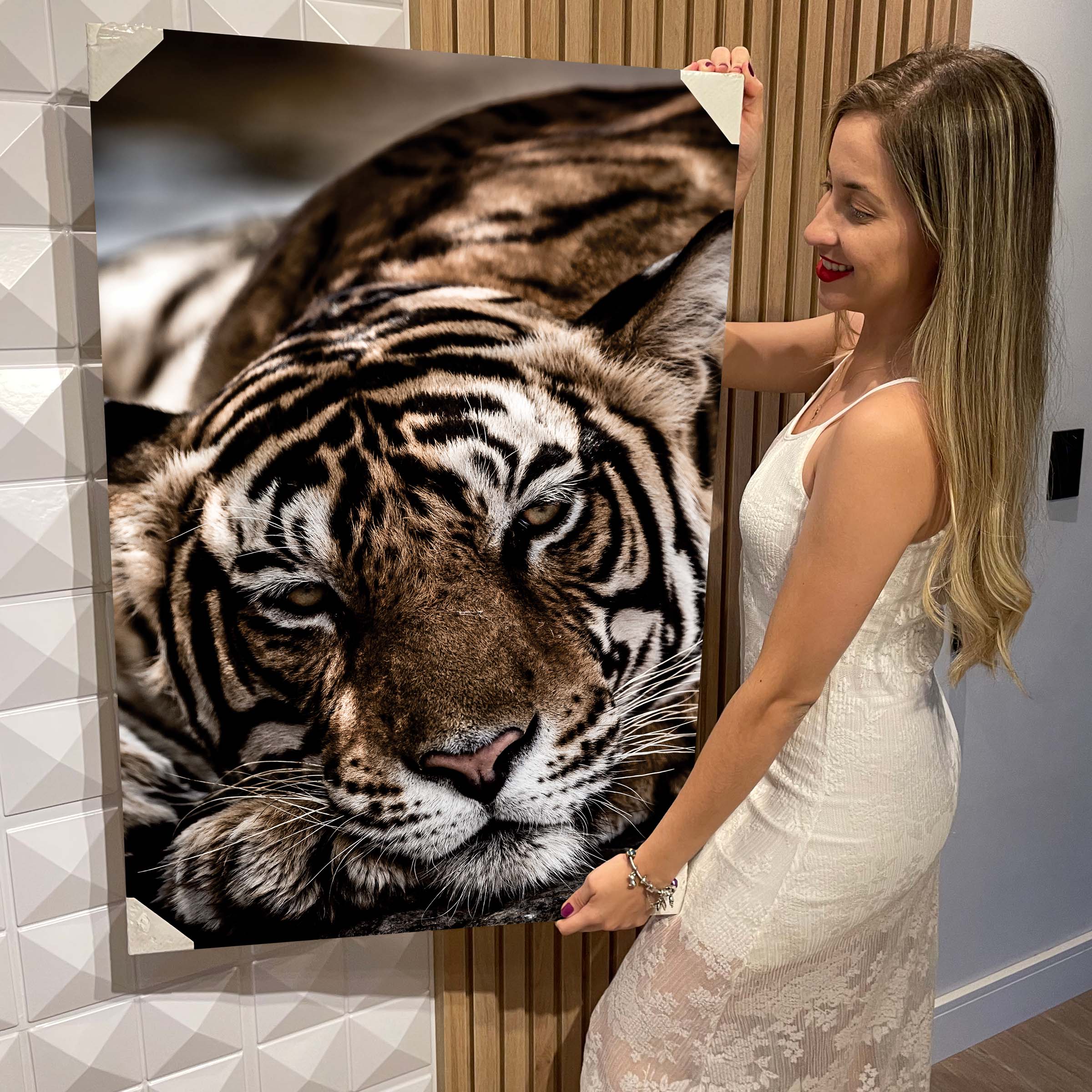 Quadro Decorativo Flutuante Animal Silvestre Tigre Deitado Colorido -  Estilo Arte Design