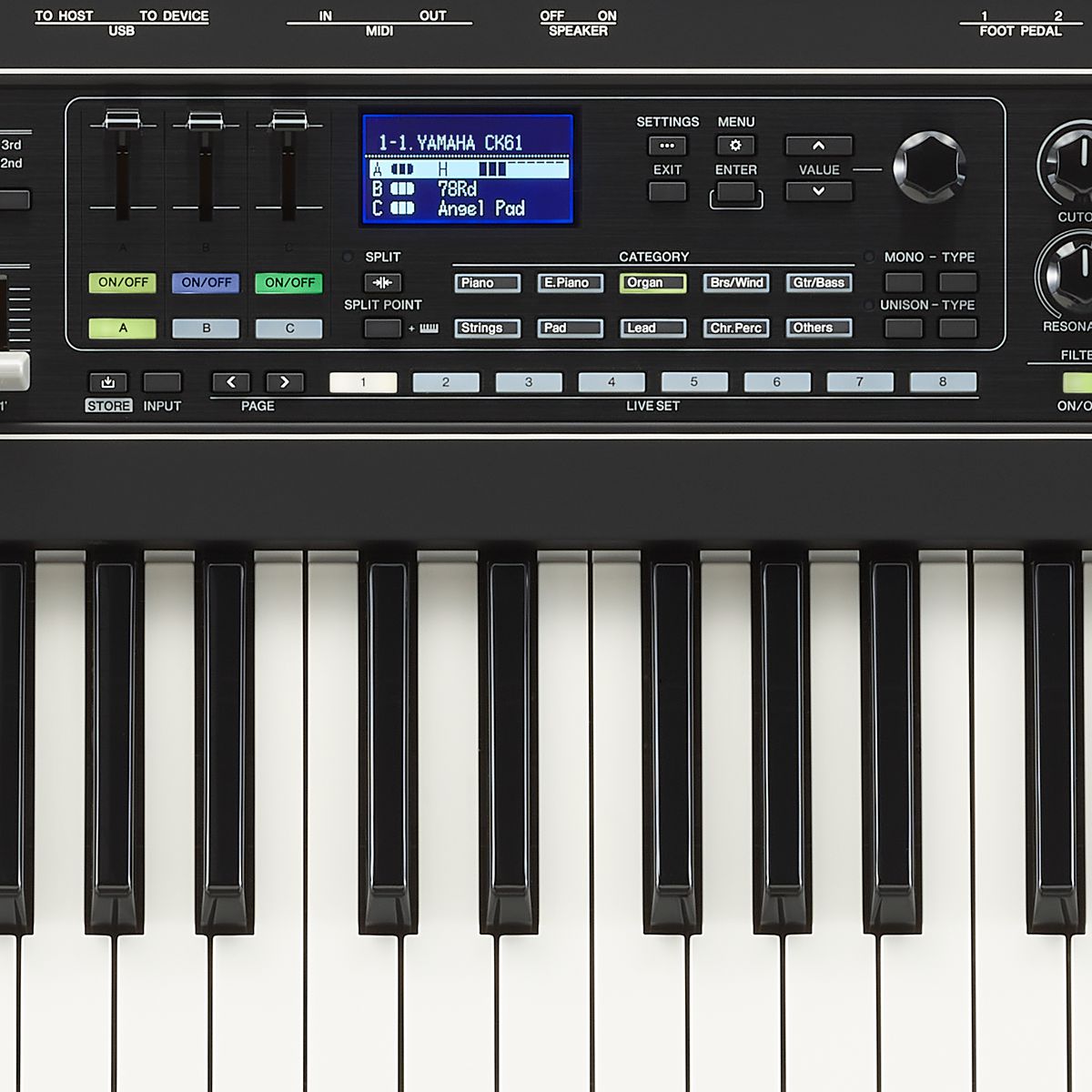 Teclado Sintetizador 61 Teclas Bluetooth Yamaha CK61 Preto