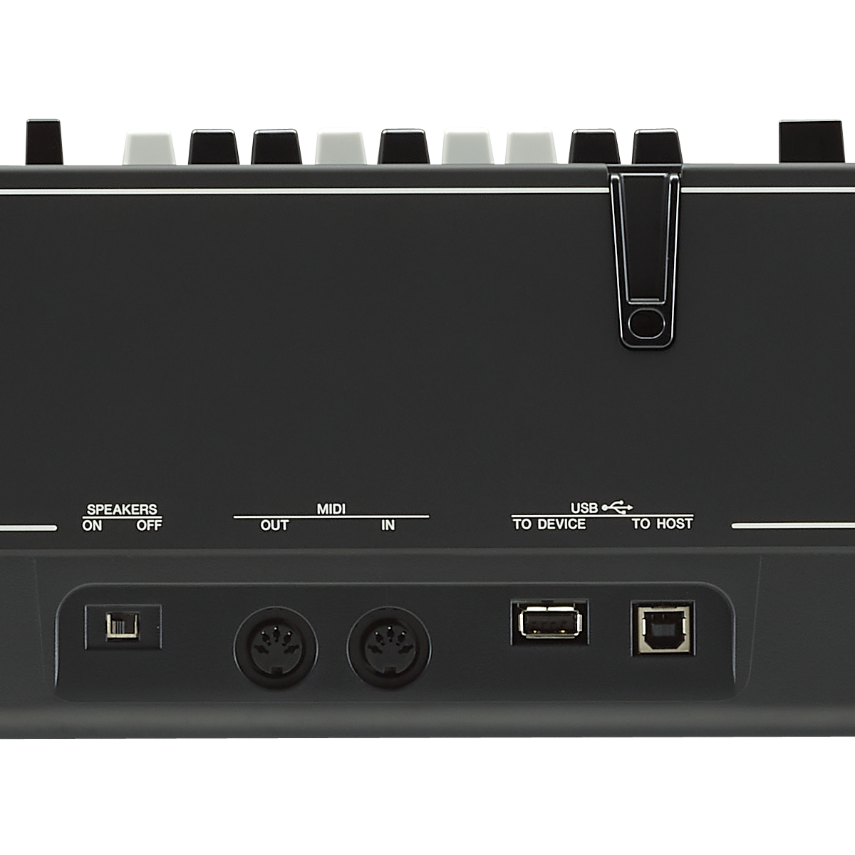 Teclado Sintetizador 88 Teclas Bluetooth Yamaha CK88 Preto ...