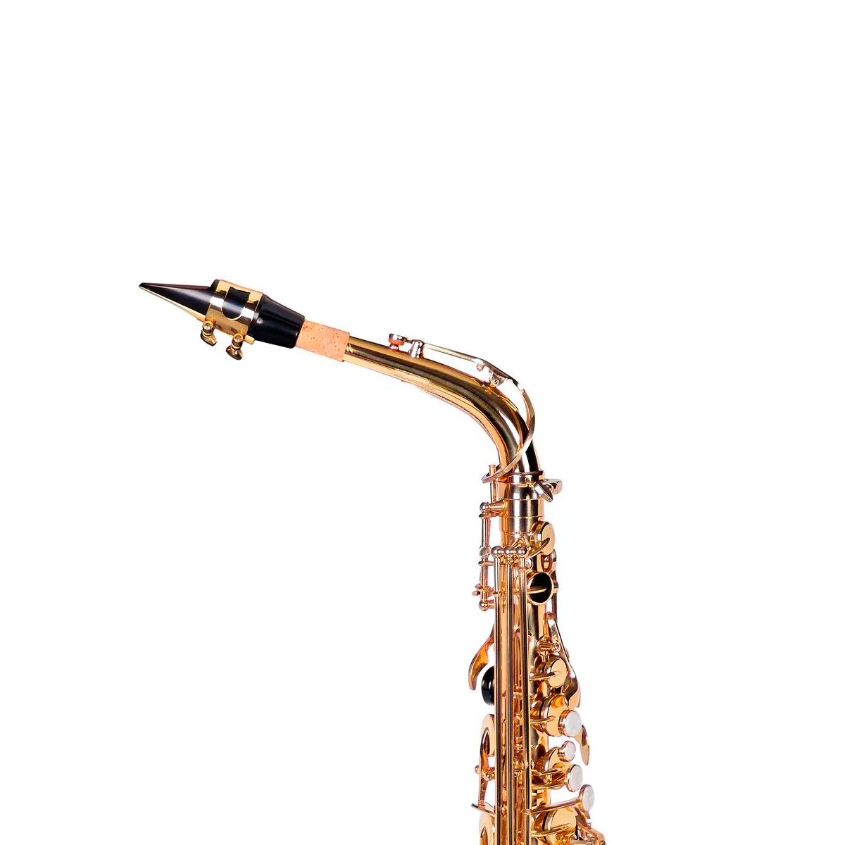 Sax Alto Eb Laqueado Dominante Dourado com Semi Case - AudioDriver