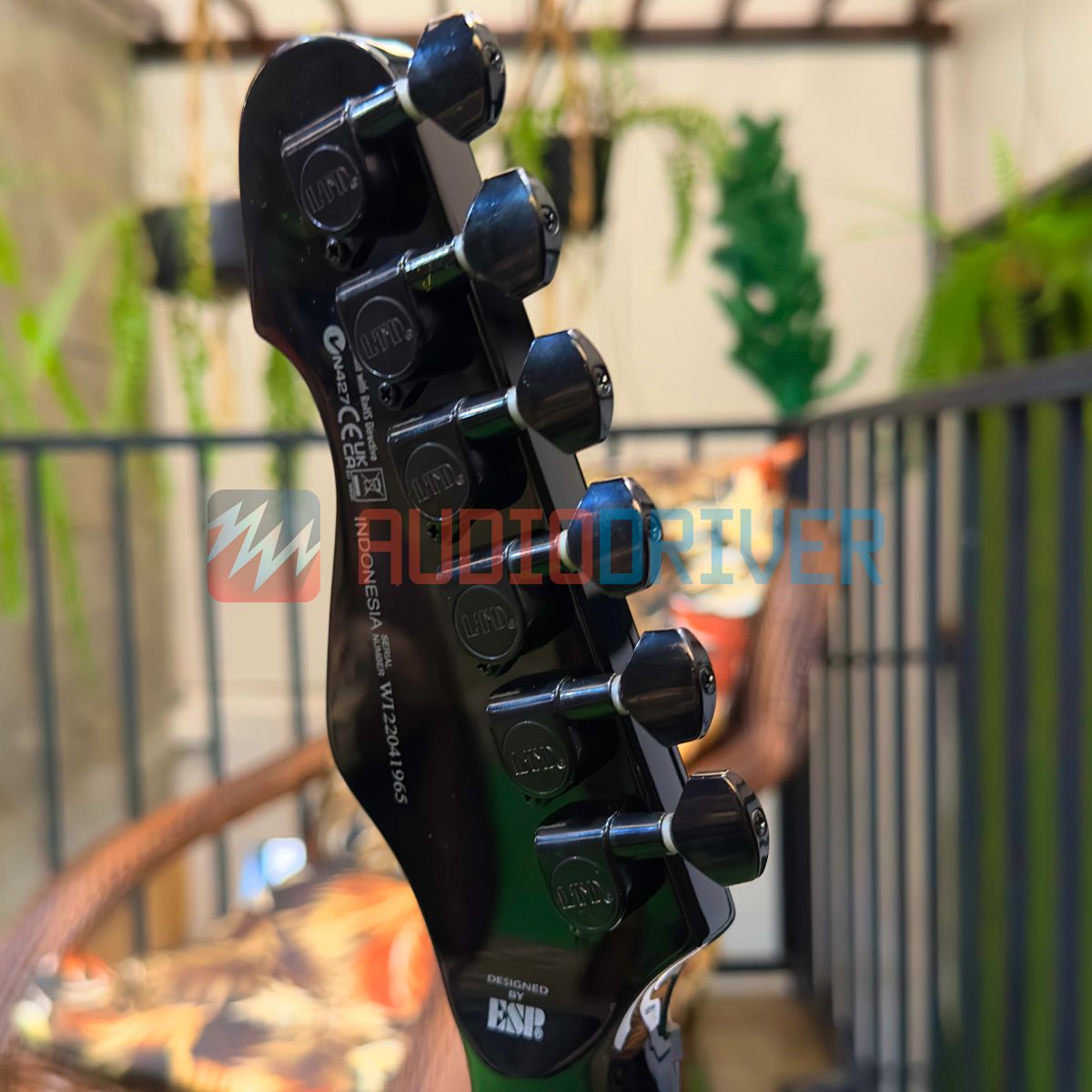 Guitarra Telecaster ESP LTD TE-200M Black - AudioDriver