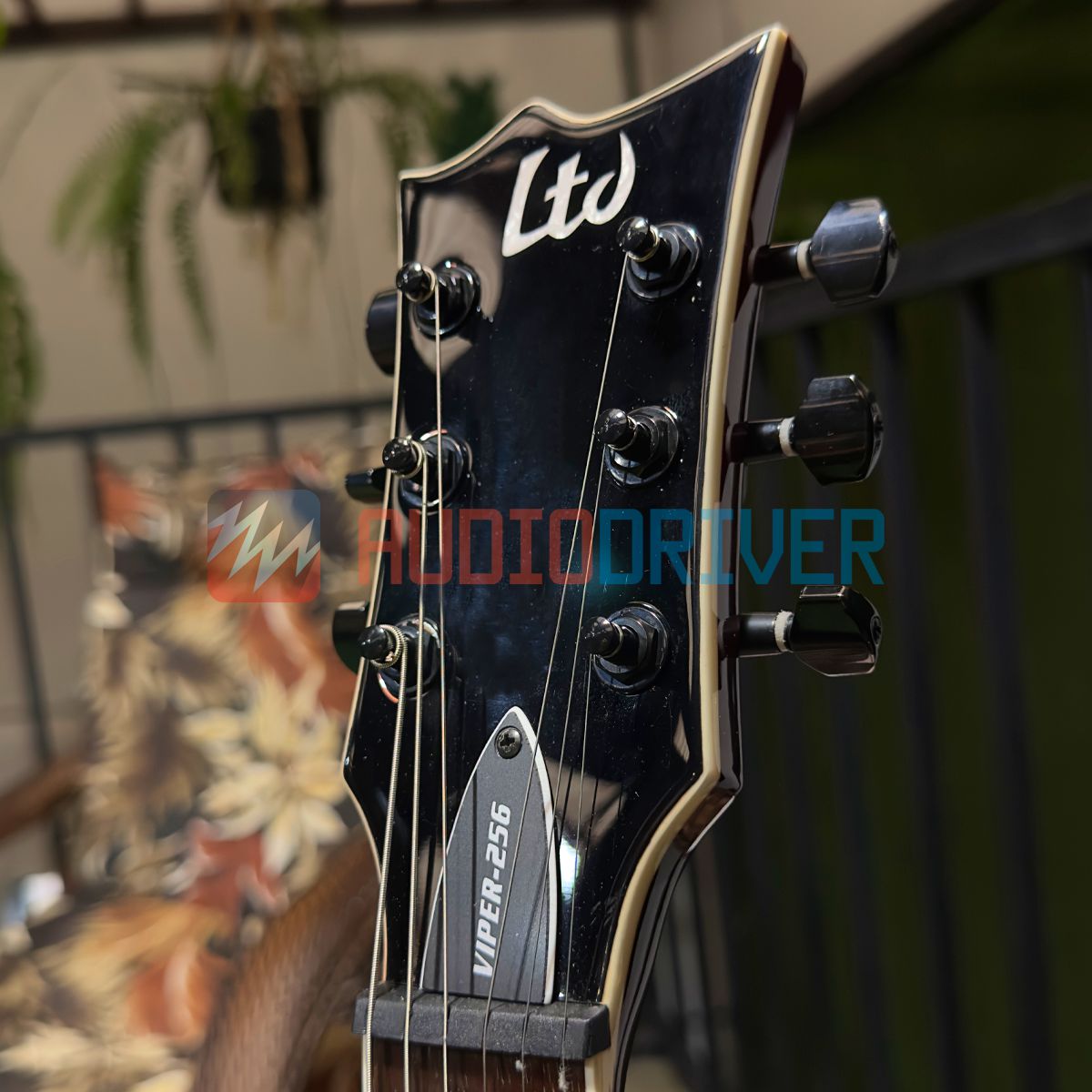 Guitarra SG ESP LTD VIPER-256 See Thru Black Cherry - AudioDriver