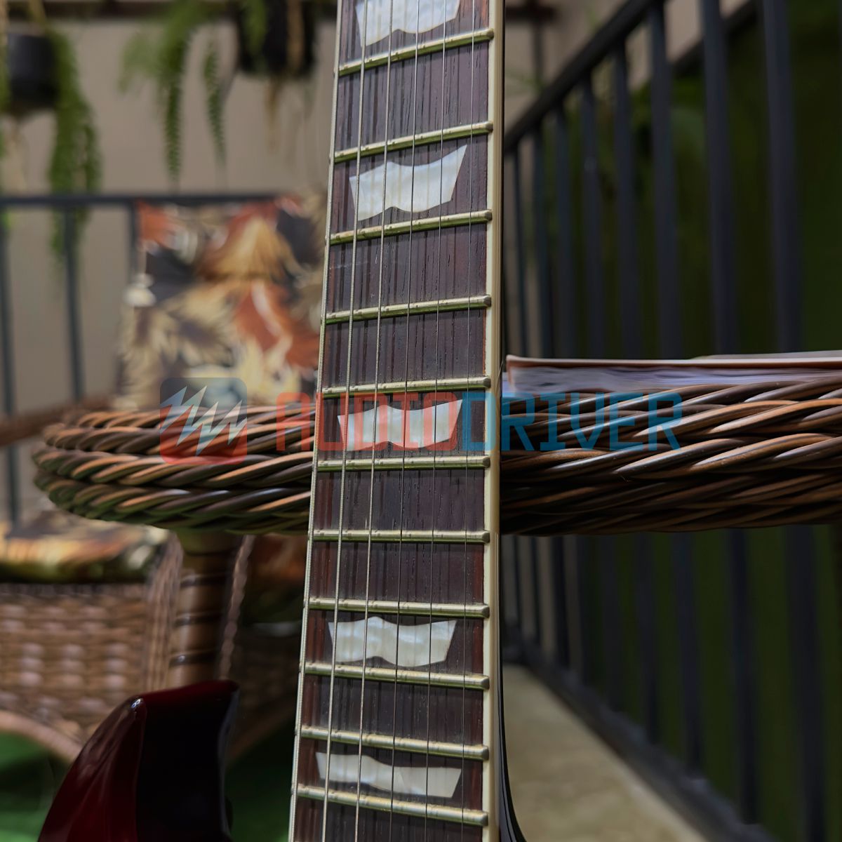 Guitarra SG ESP LTD VIPER-256 See Thru Black Cherry