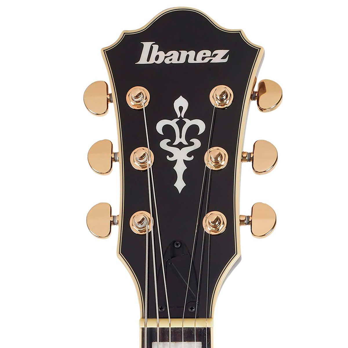 Guitarra Semi Acústica Artcore Expressionist Ibanez AQ95QA DBS