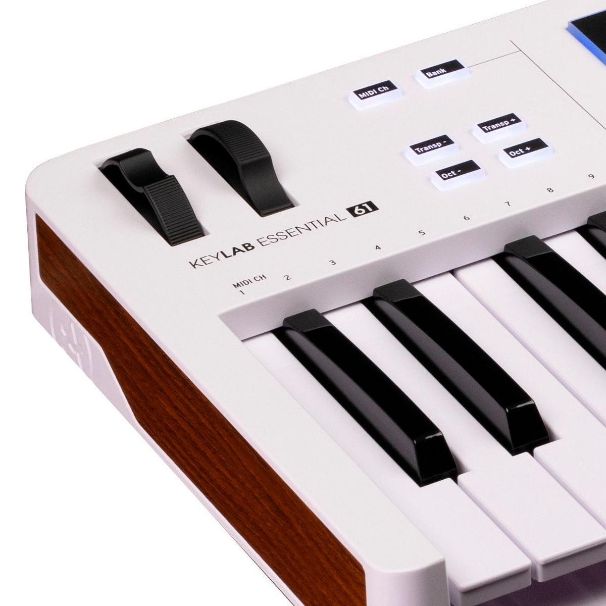 KeyLab Essential 61: Liberte sua Música! - AudioDriver