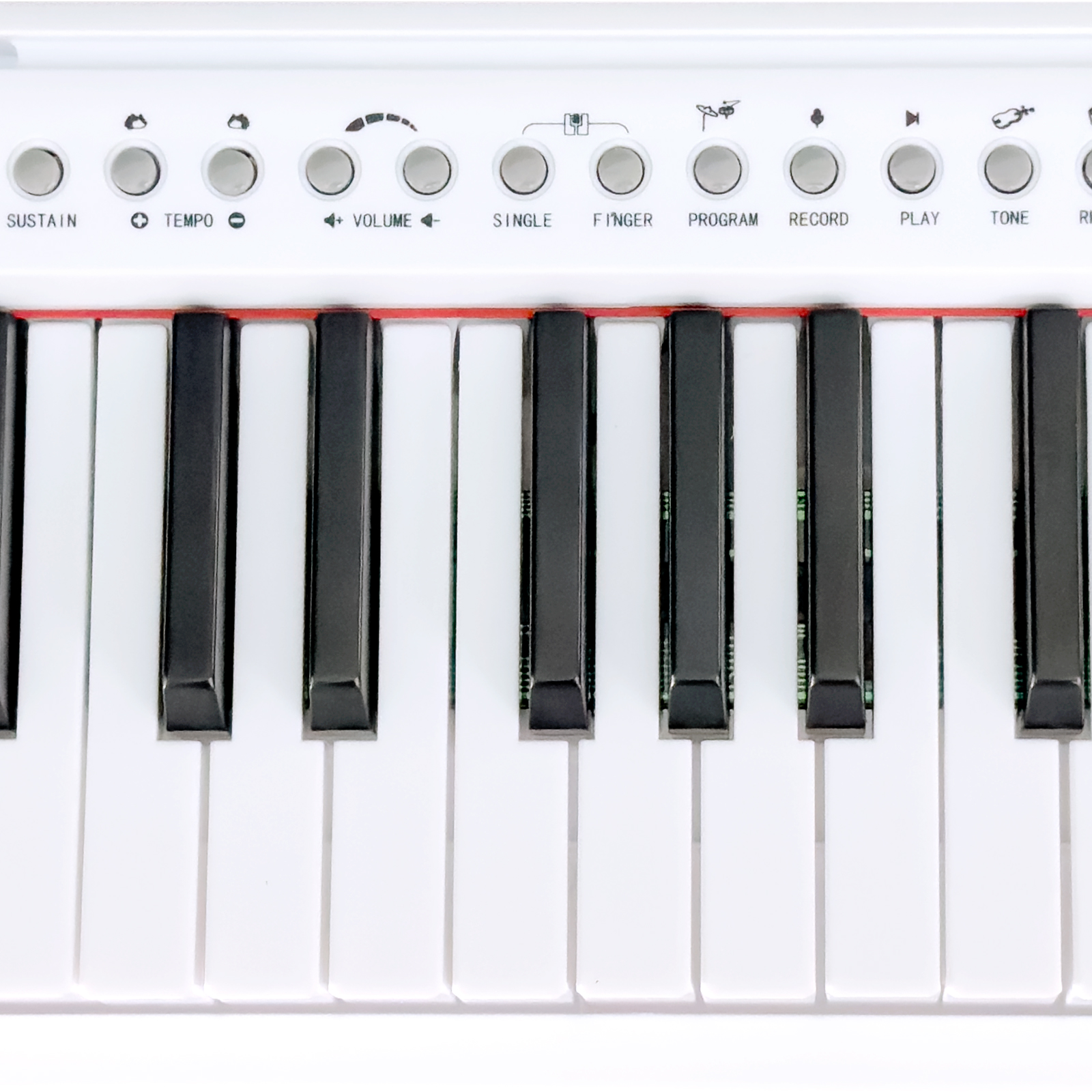 Teclado Infantil Waldman WTS-100 - Aprenda Brincando - AudioDriver