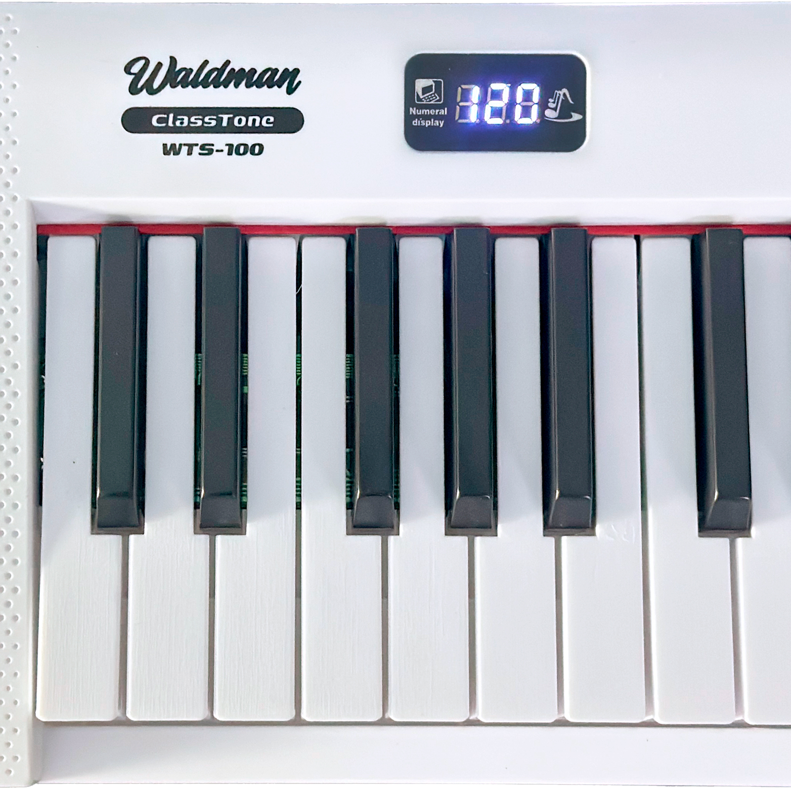 Teclado Infantil Waldman WTS-100 - Aprenda Brincando - AudioDriver