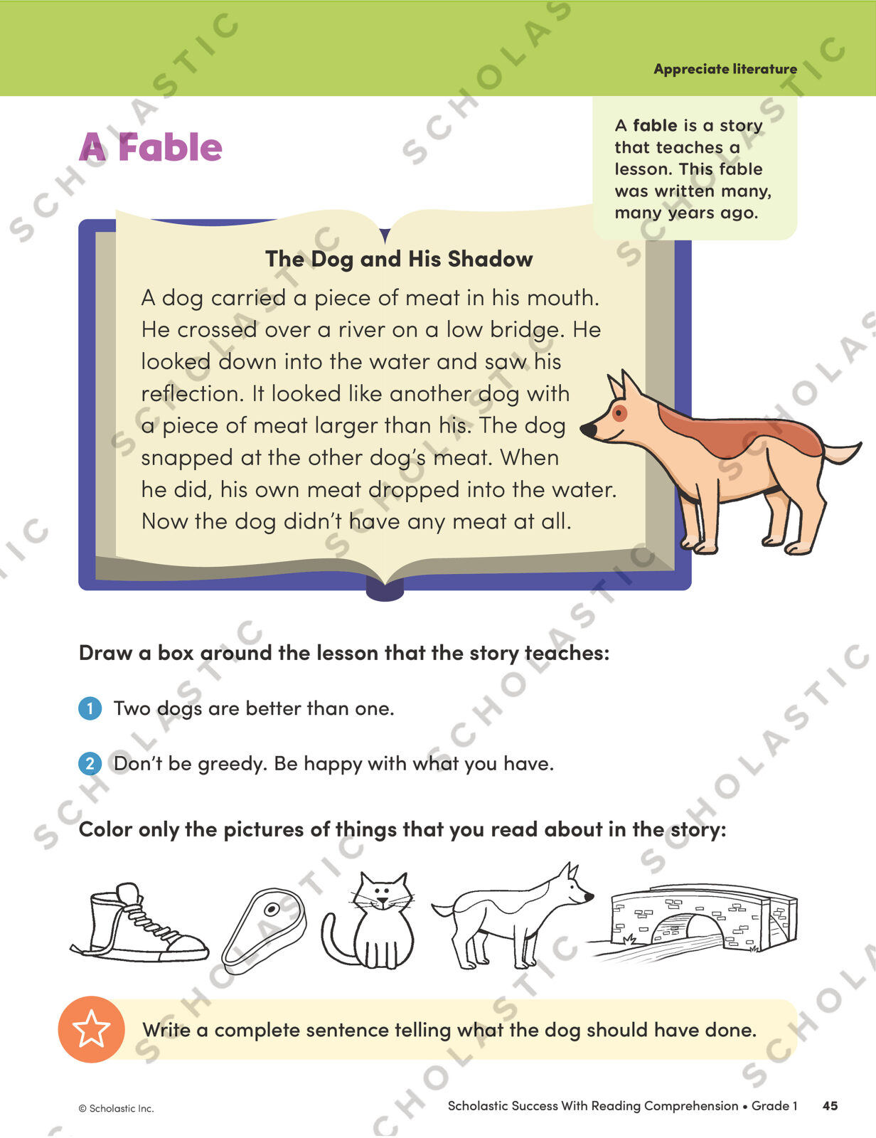 Success With Reading Comprehension: Grade 1 Workbook - Books R Toys