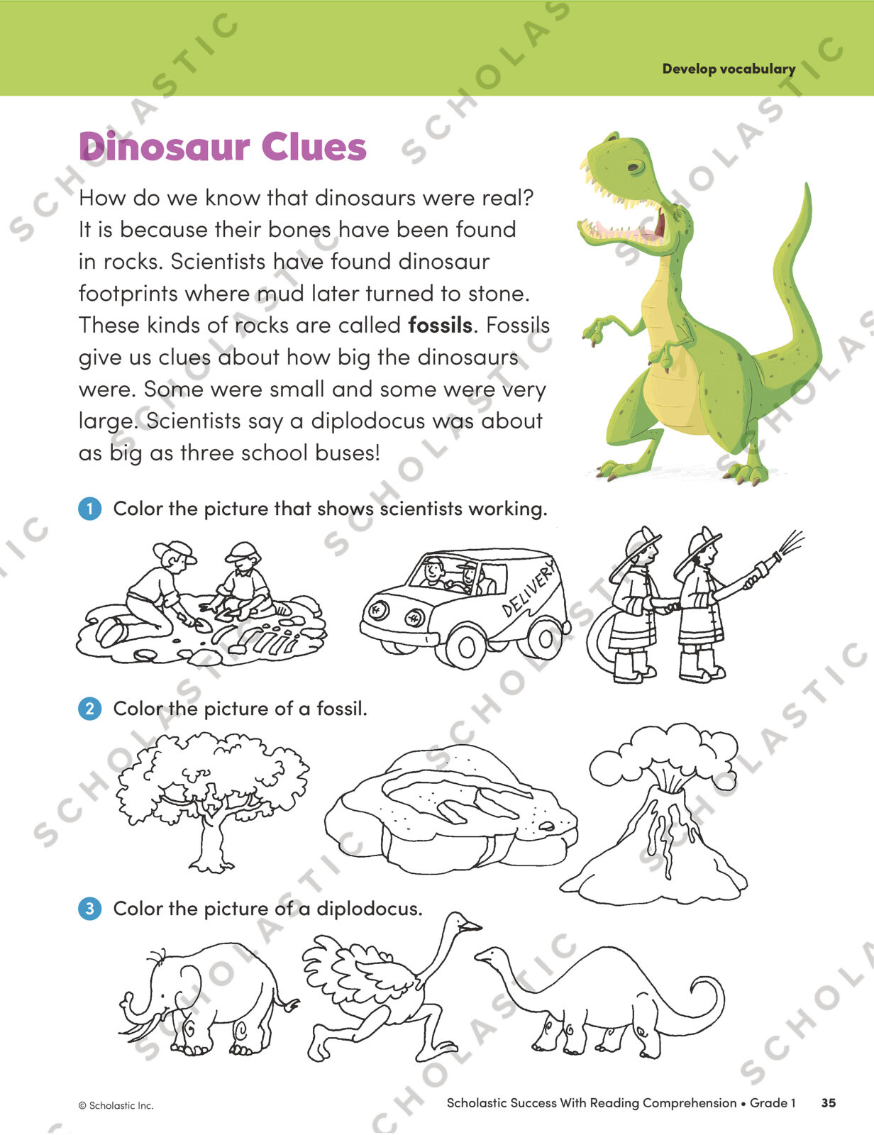 Success With Reading Comprehension: Grade 1 Workbook - Books R Toys