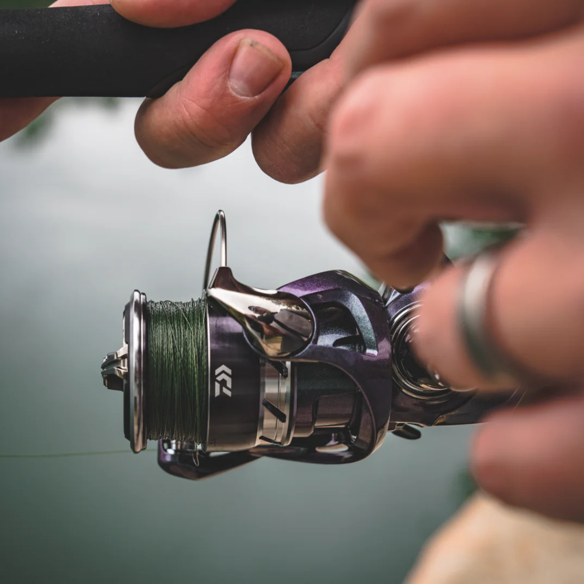 Molinete Daiwa Regal LT 4000D-CXH - Piovezan Pesca