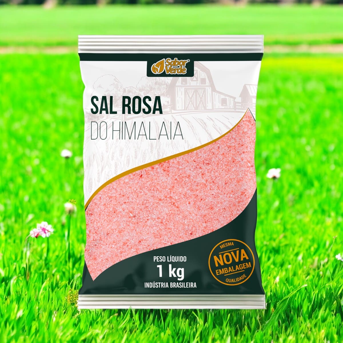Sal Rosa do Himalaia Fino 1kg - Natural e Rico em Minerais | W3 Life ...