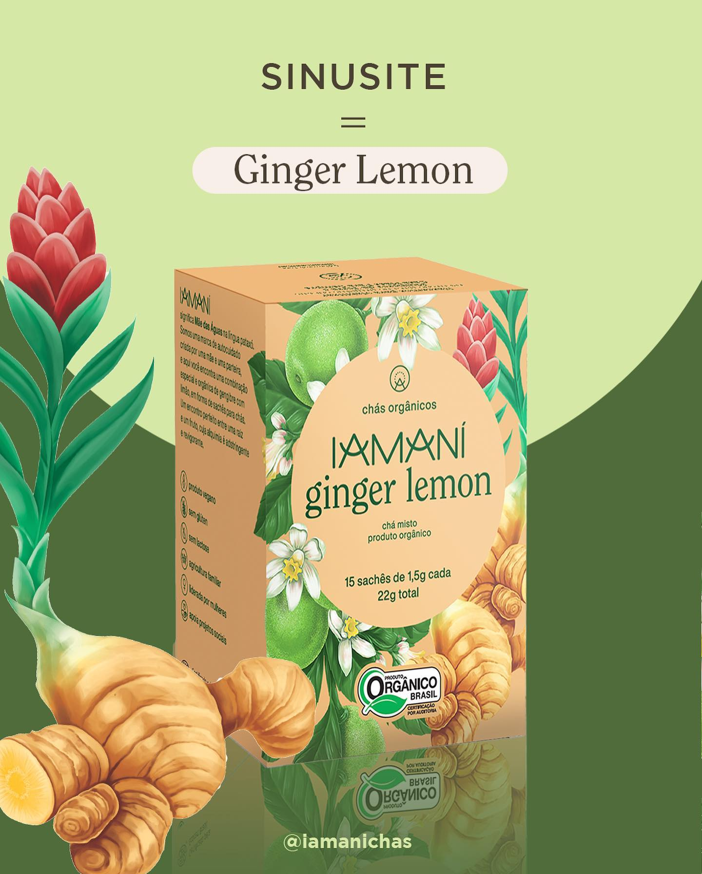 Iamaní Chá Misto Orgânico Ginger Lemon - Beleza do Campo