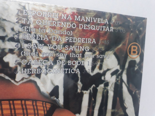 Disco de Vinil Lp Raimundos Lavô Tá Novo 180g Lacrado Polysom - Vinil ...