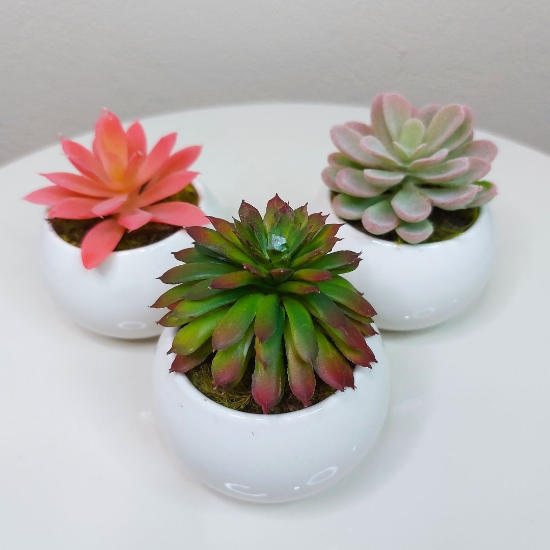 Trio de Suculentas Artificiais de Silicone vasinhos de cerâmica branca -  Ivy Flores e Presentes