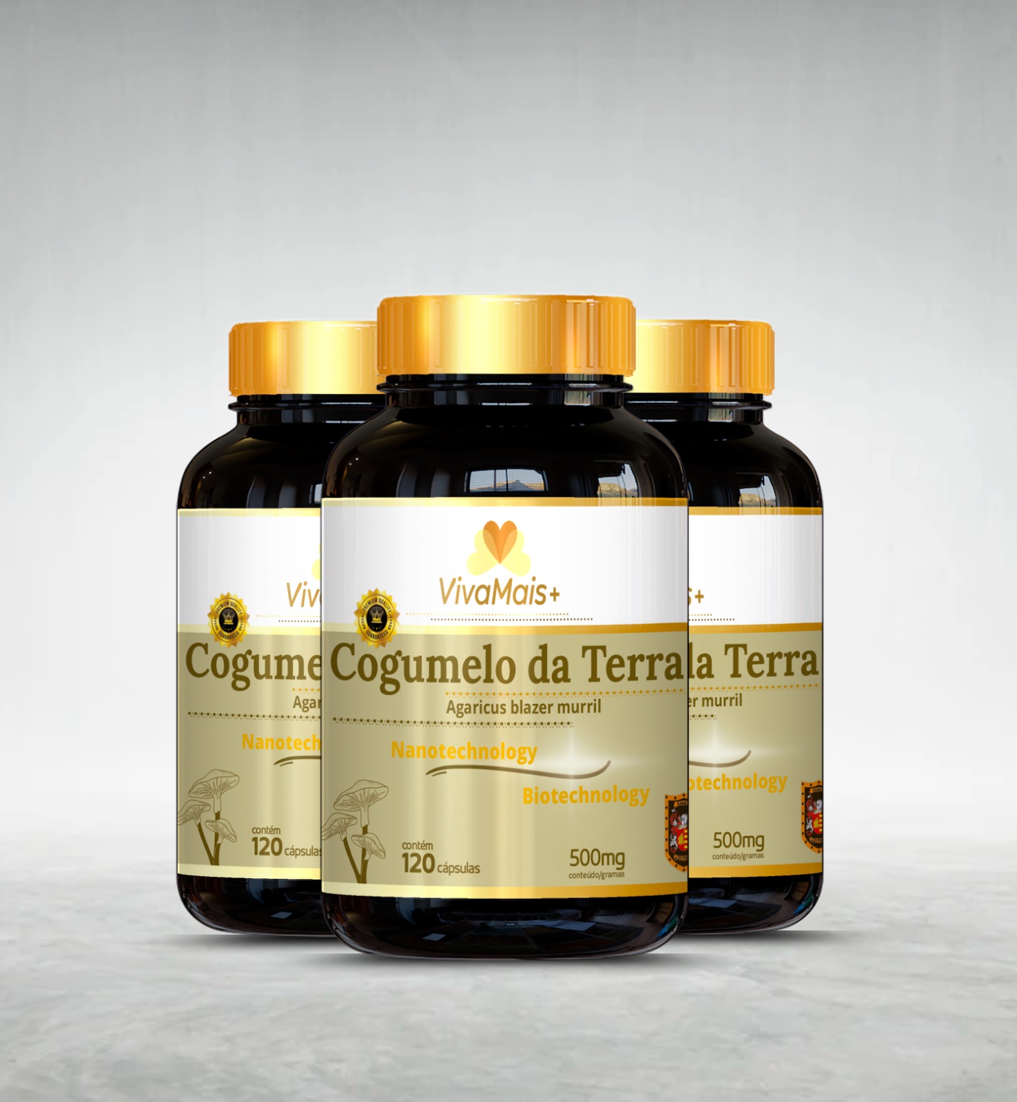 Cogumelos biotech