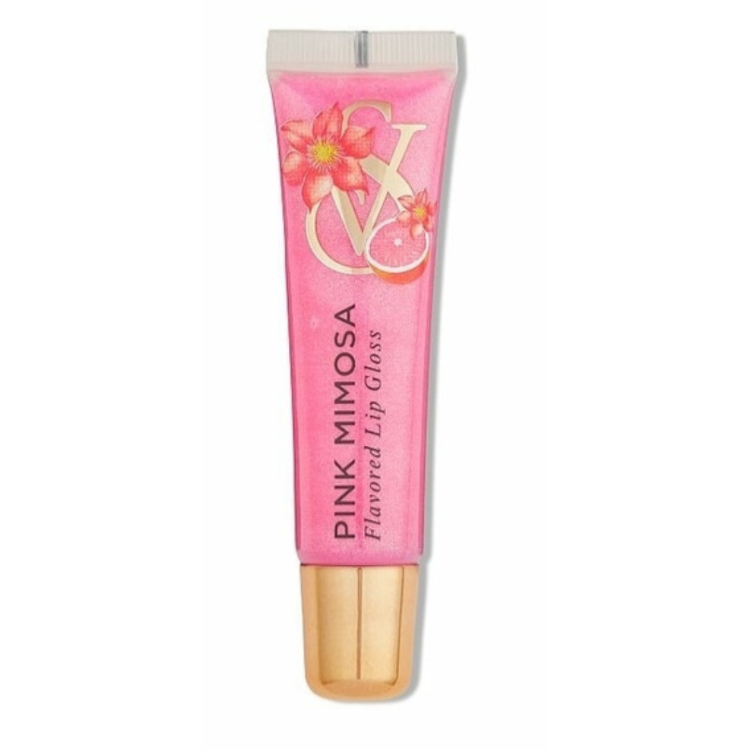 Lip Gloss Victoria Secrets Pink Mimosa Brilho - Itop Importados-  Exclusividade em Importados
