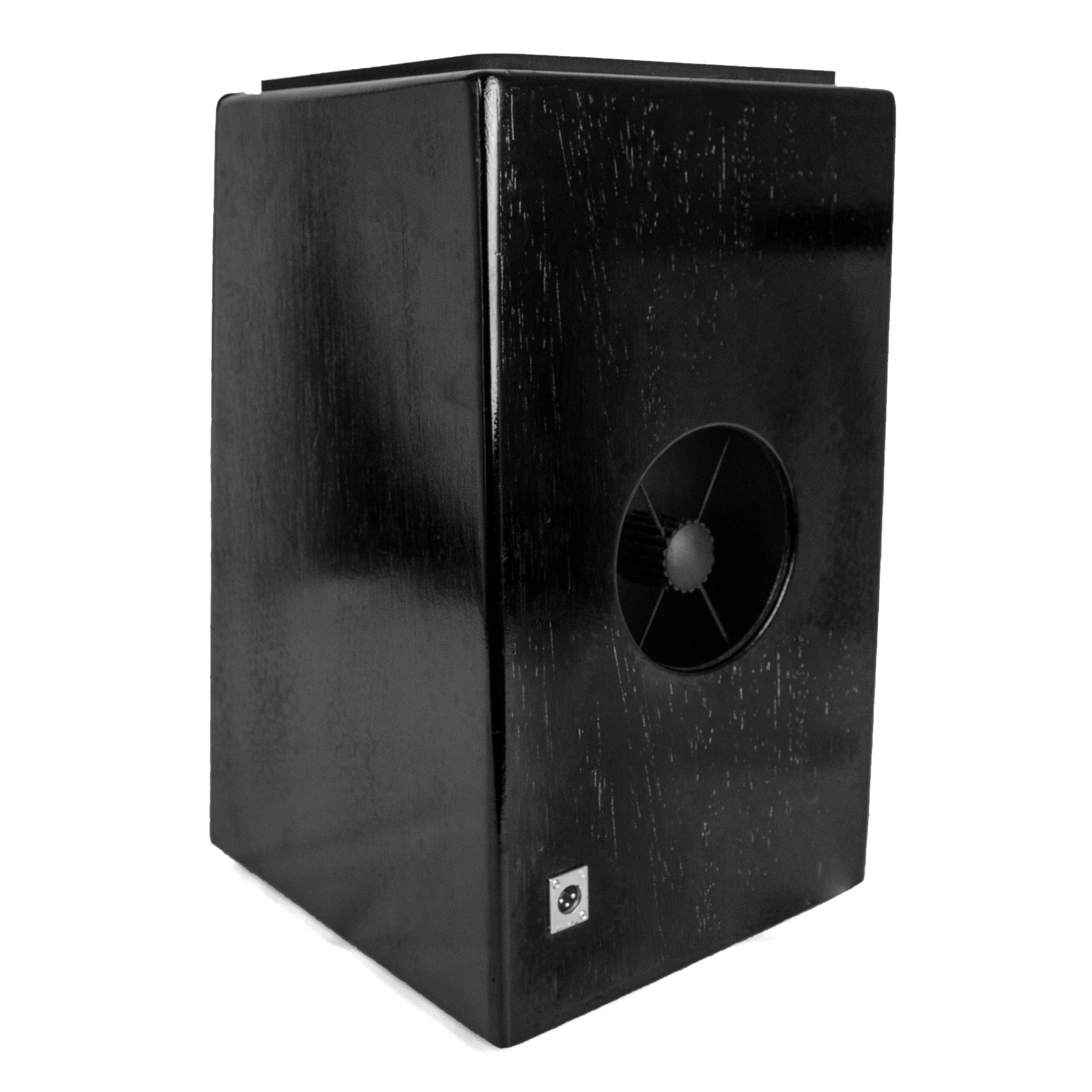 Cajón Elétrico Pithy By Torelli Inclinado Preto TP108 O Acústico