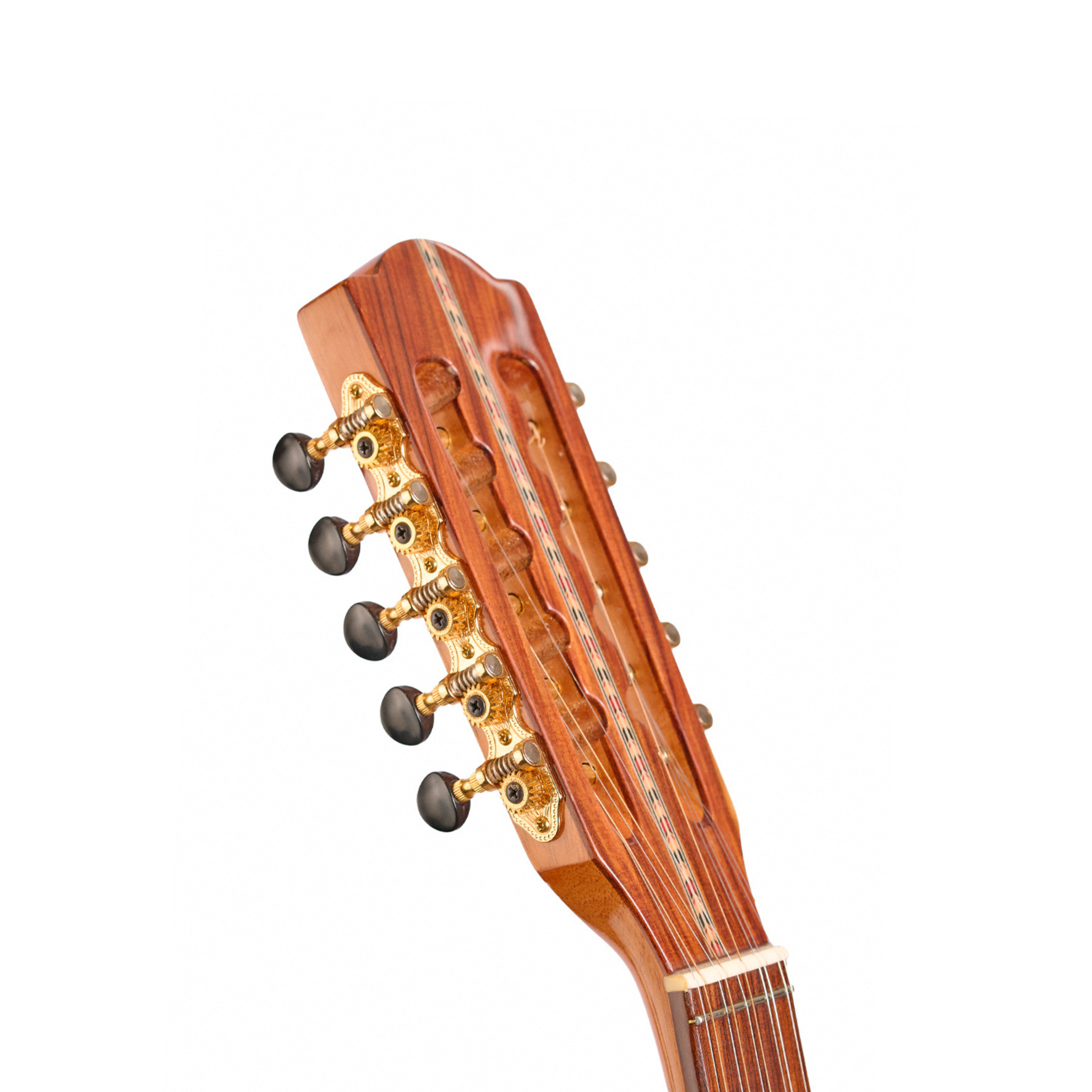 Viola Caipira Rozini Virtuoso Clássica com Tampo em Sitka Spruce