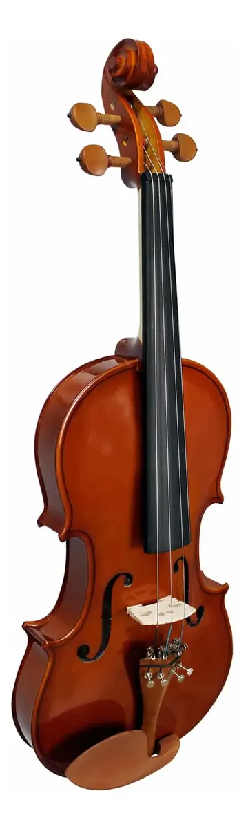5-fn66gcmz73.png