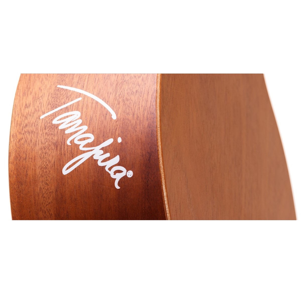 Cajon De Colo Profissional Tanajura Elétrica Rozini RPT01 O Acústico