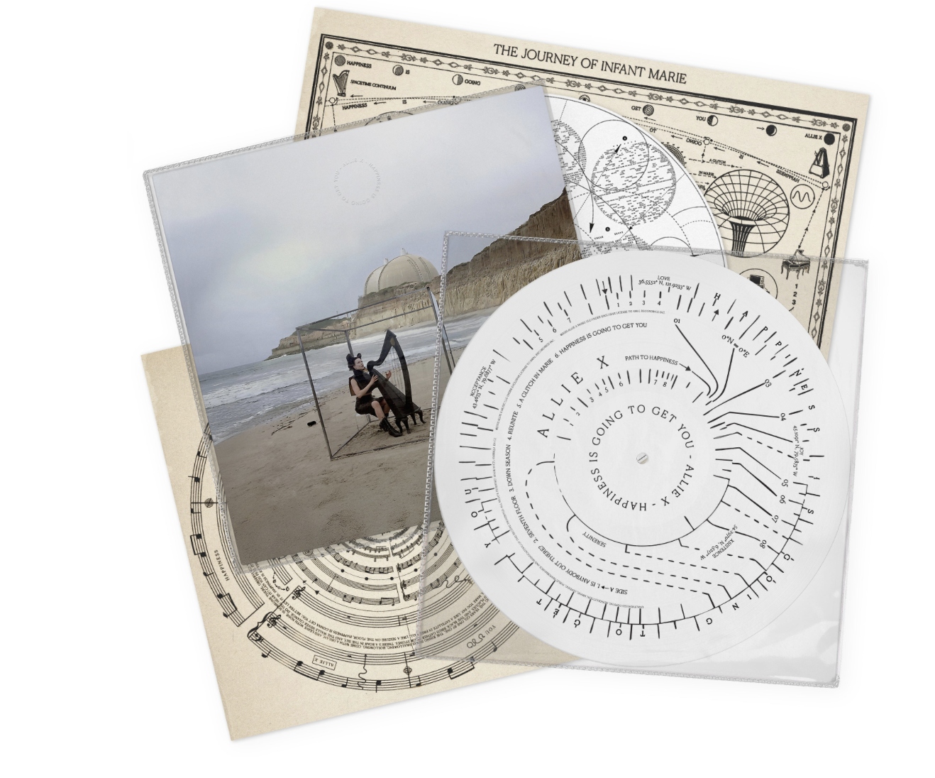 Allie X - Happiness Is Going To Get You (Picture Disc - Autografado ...