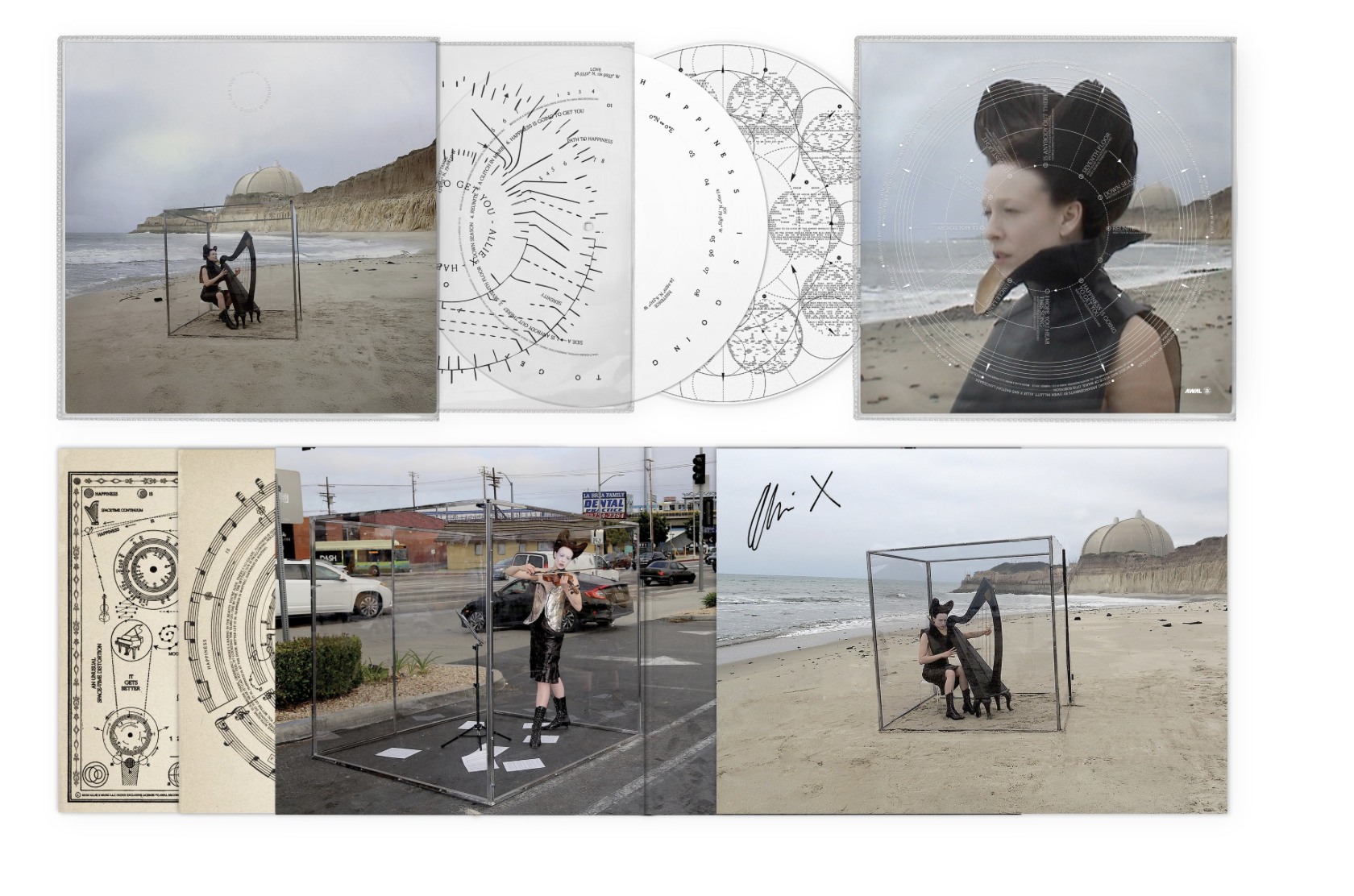 Allie X - Happiness Is Going To Get You (Picture Disc - Autografado ...