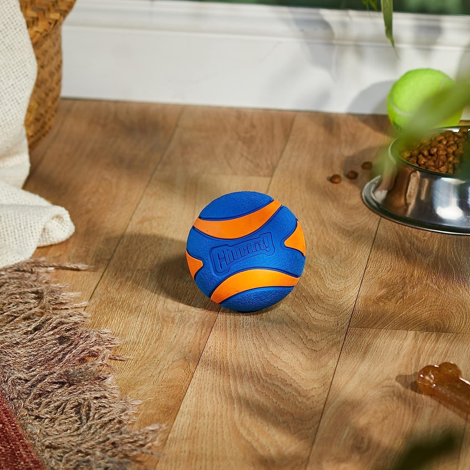 Chuckit! Ultra Squeaker Ring Hondenspeelgoed, Outdoor Fetch en Chase
